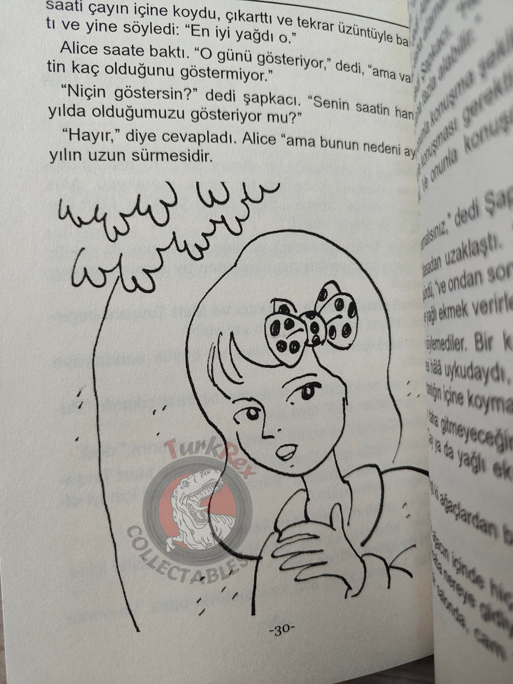 Lewis Carroll – Alice in Wonderland 2011 Turkish Book Turkey Illustrated 3