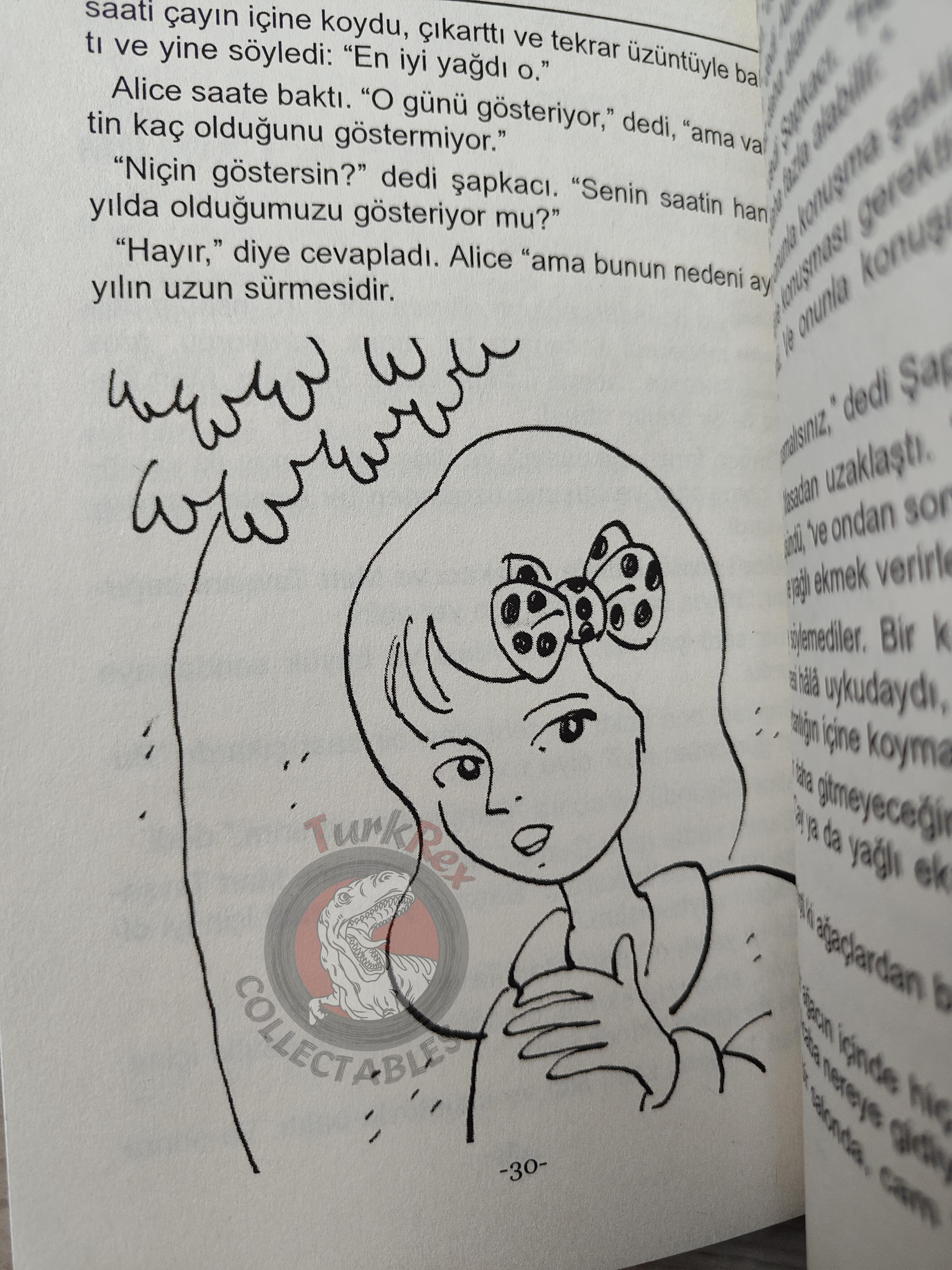 Lewis Carroll – Alice in Wonderland 2011 Turkish Book Turkey Illustrated 3