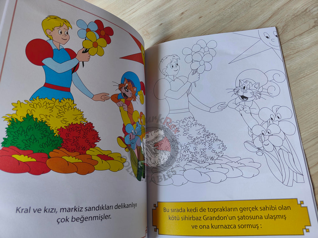 Puss in Boots – Grimm Brothers 2000s Turkish Book Turkey Illustrated Moon S.r.l.