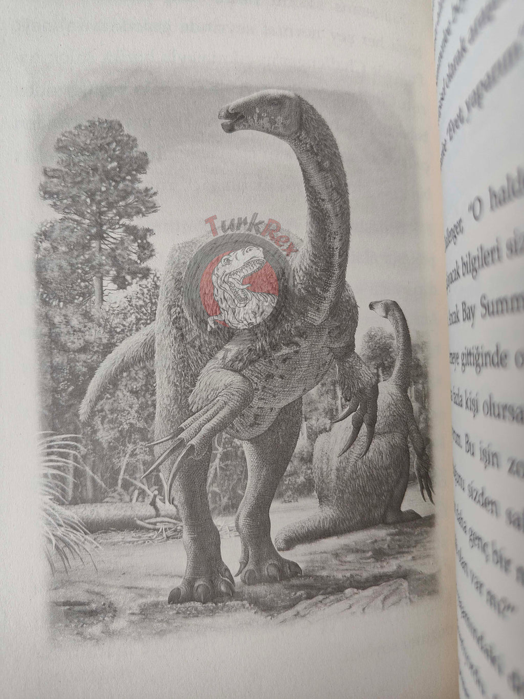Arthur Conan Doyle – The Lost World 2018 Turkish Book Turkey Illustrated