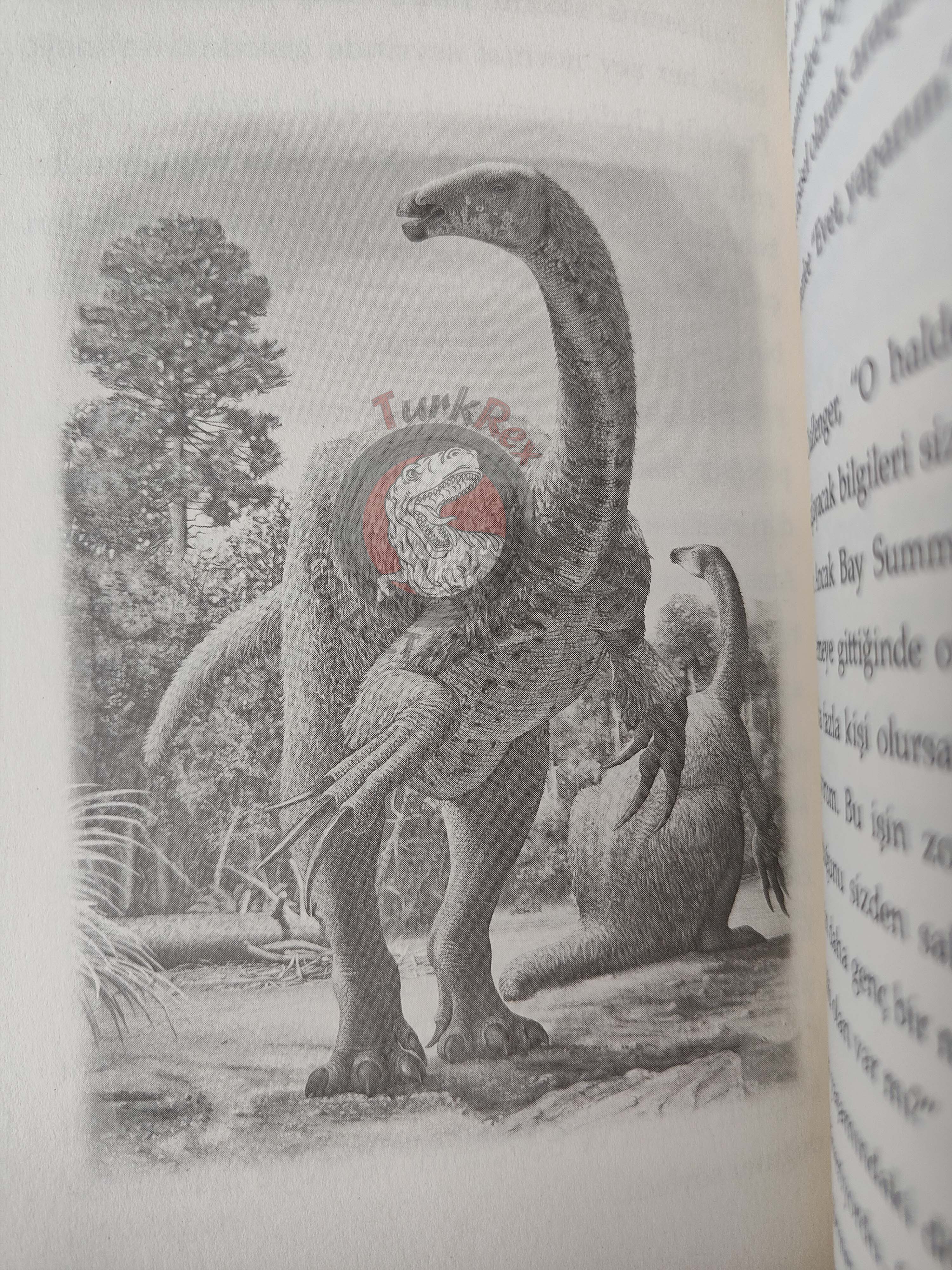 Arthur Conan Doyle – The Lost World 2018 Turkish Book Turkey Illustrated