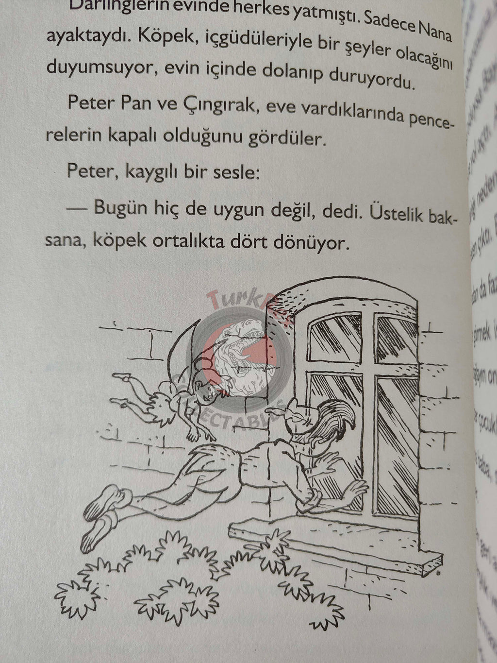 J. M. Barrie – Peter Pan 2011 Turkish Book Turkey Illustrated 4