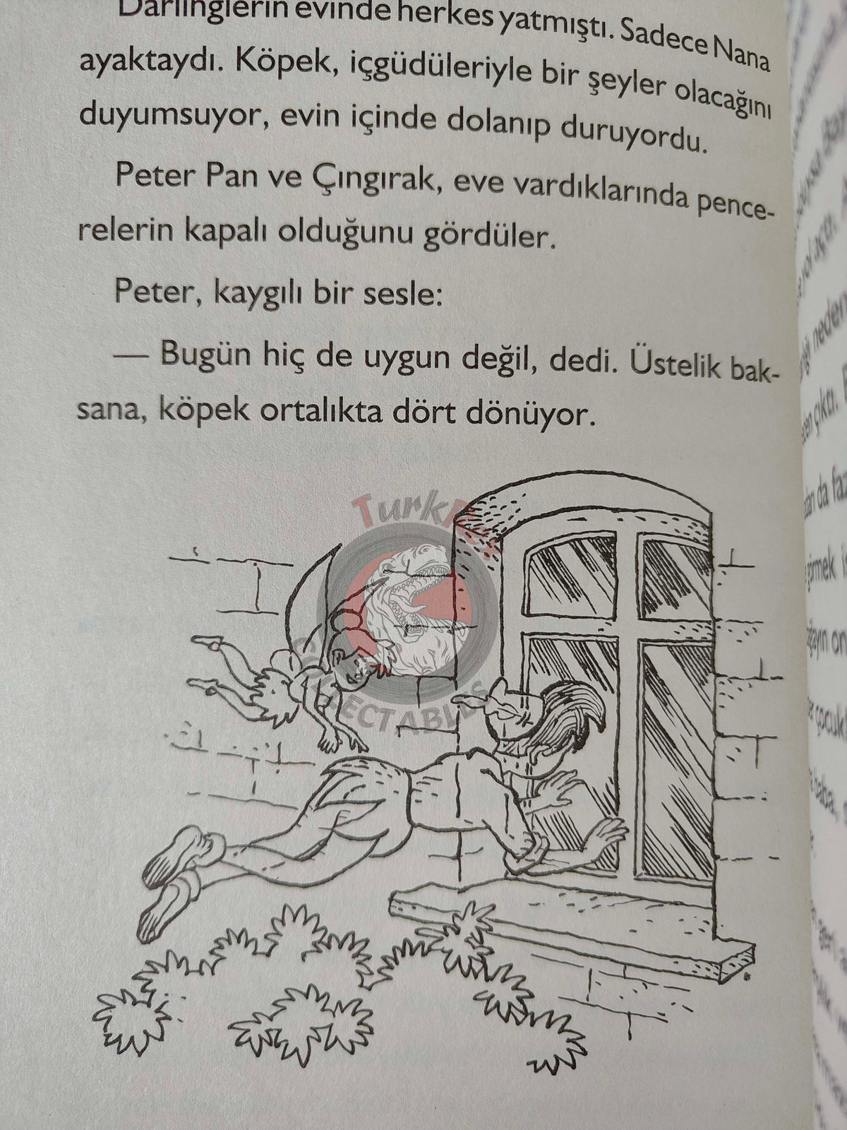 J. M. Barrie – Peter Pan 2011 Turkish Book Turkey Illustrated 4