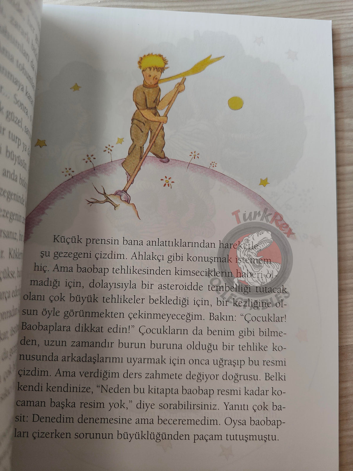 Antoine de Saint-Exupéry – Le Petit Prince 2015 Turkish Book Turkey Illustrated Little 3
