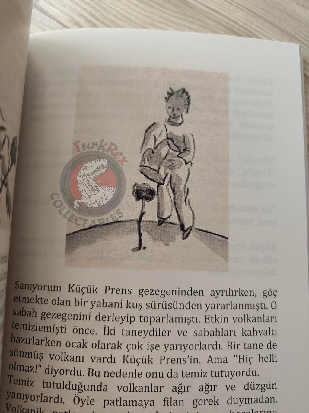 Antoine de Saint-Exupéry – Le Petit Prince 2015 Turkish Book Turkey Illustrated Little 5