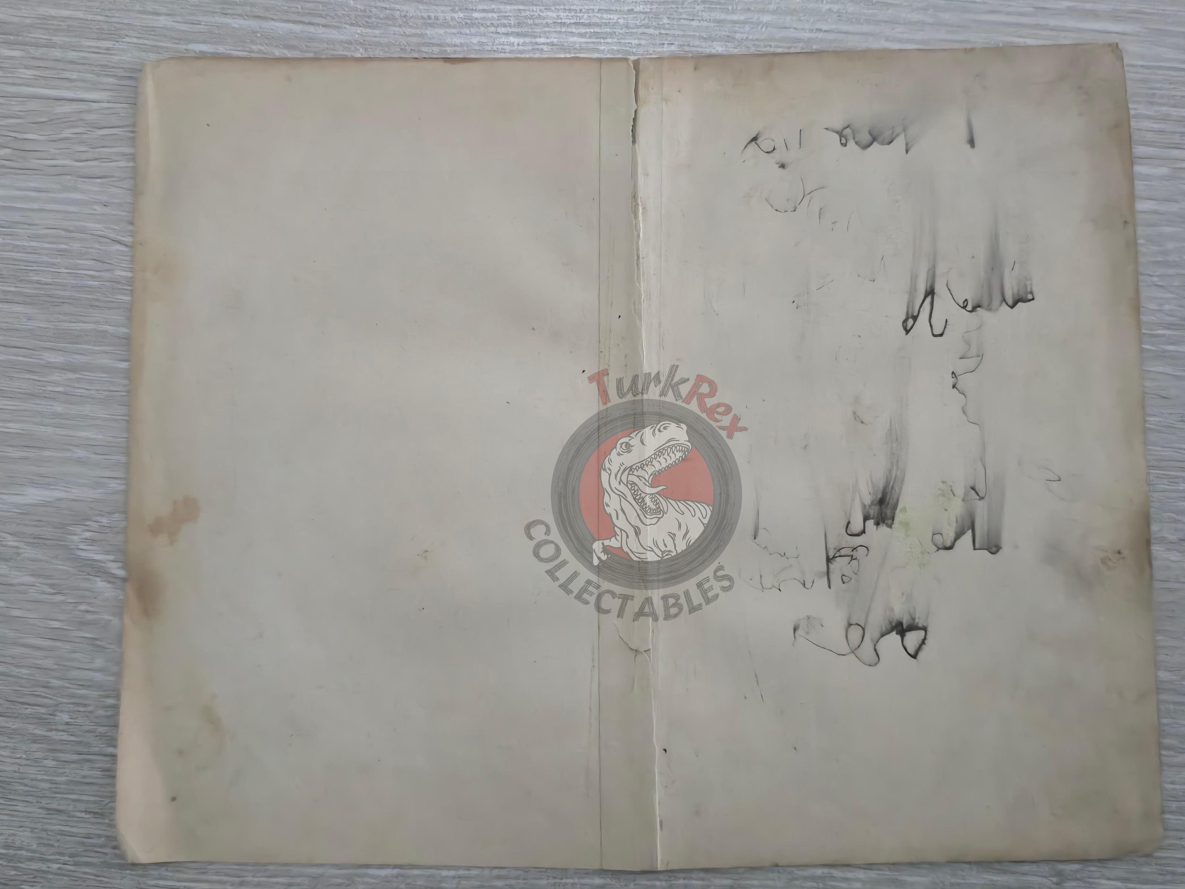 Ottoman Empire 1876 Map Asia Europe Middle East Palestine Syria Iraq Iran Greece