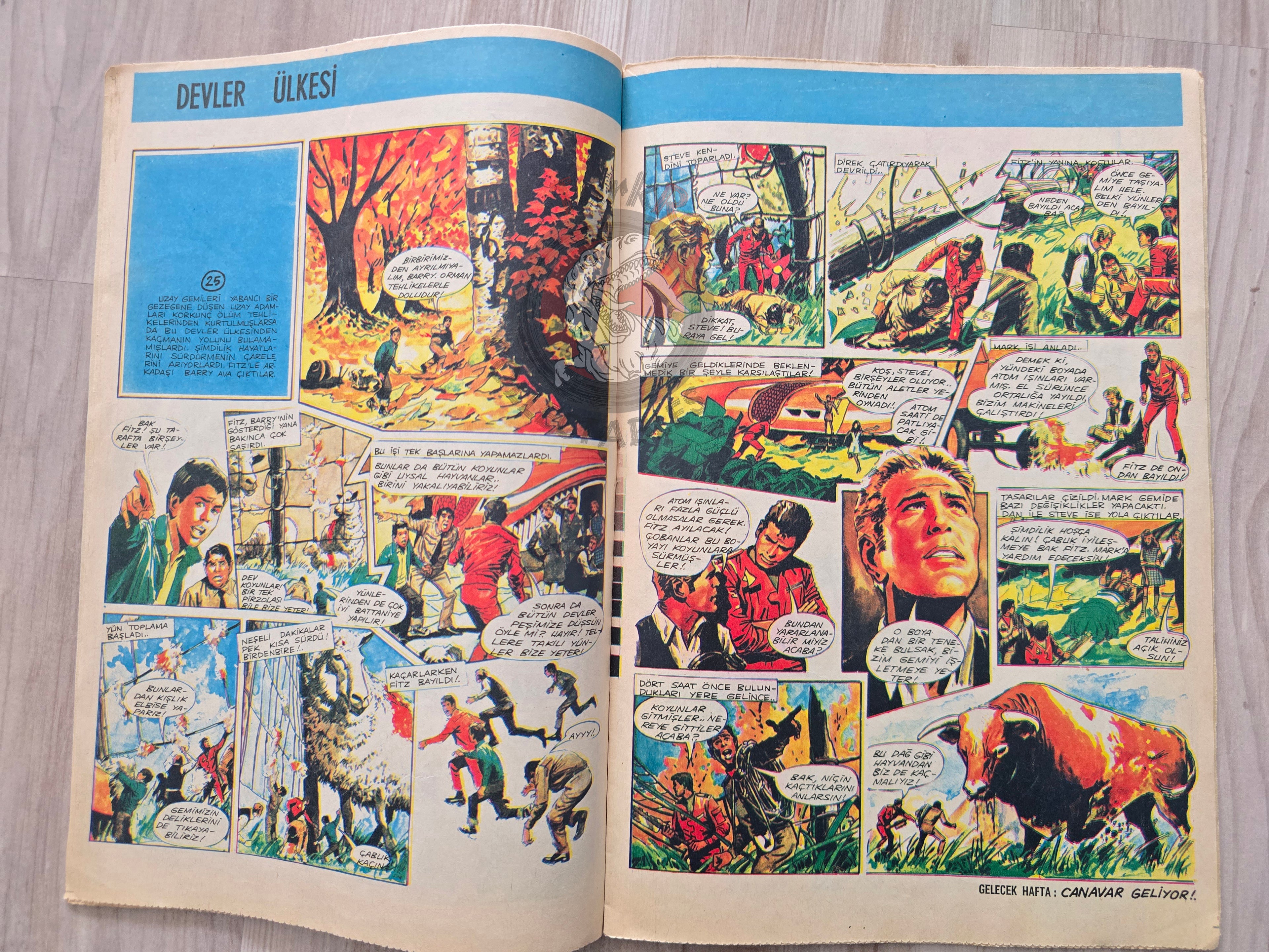 Doğan Kardeş 1971 Magazine #27 Turkish Comic Turkey Sinbad the Sailor Gulliver’s Travels Sibylline