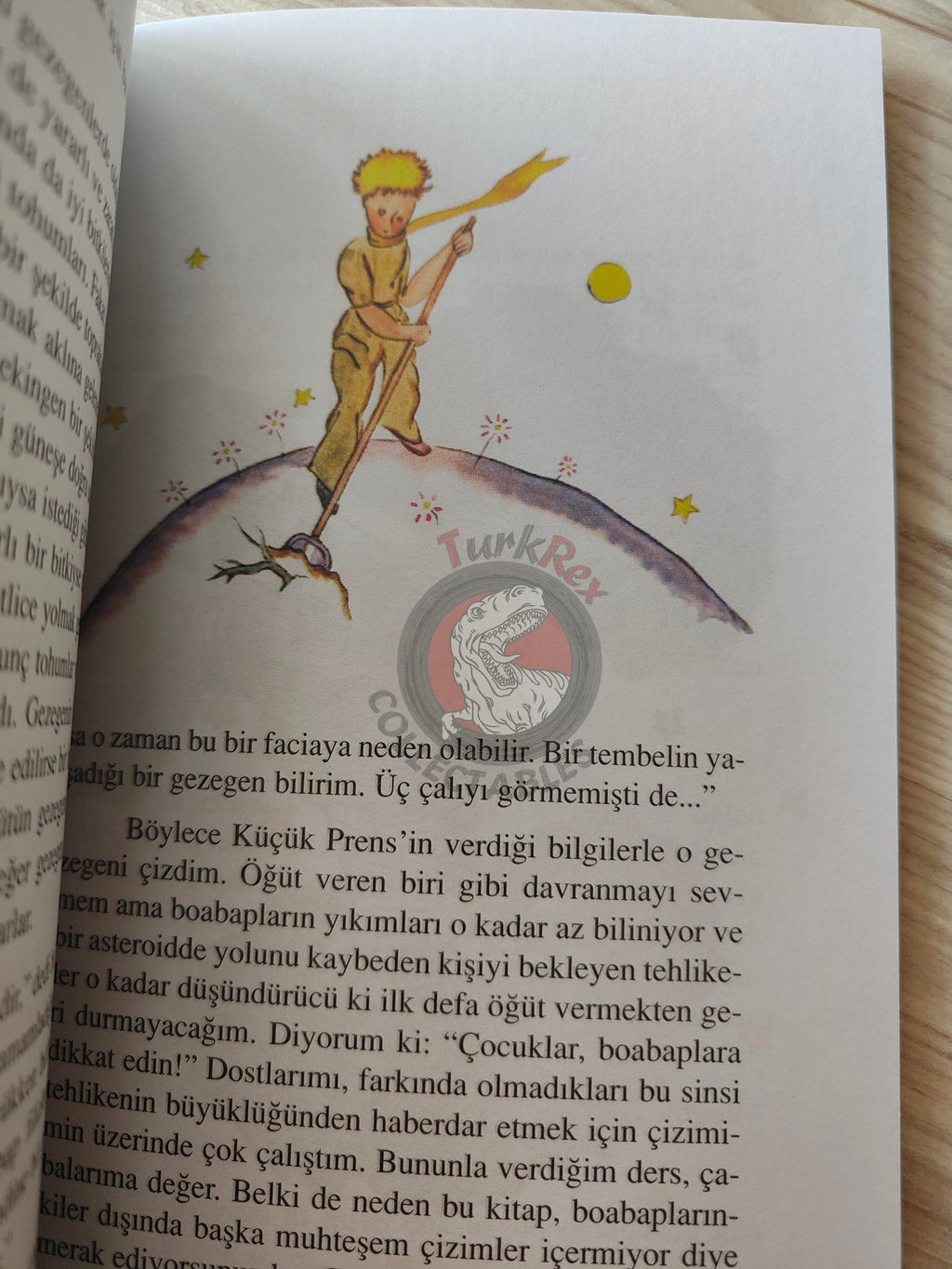 Antoine de Saint-Exupéry – Le Petit Prince 2015 Turkish Book Turkey Illustrated Little 9