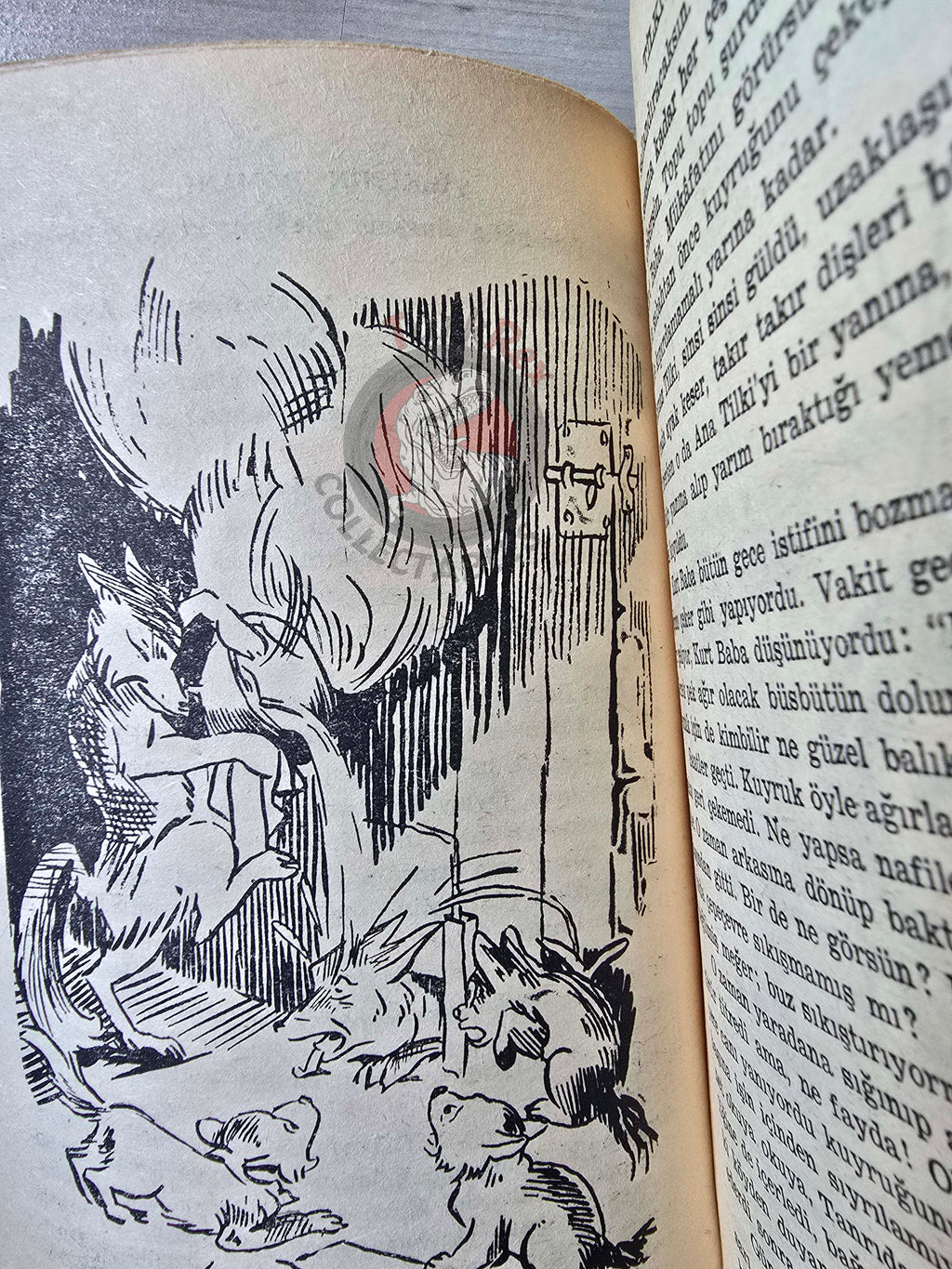 Reynard the Fox 1963 Turkish Book Turkey Illustrated