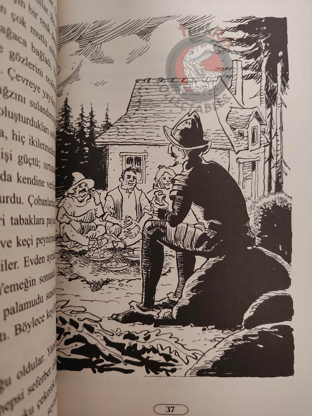 Miguel de Cervantes – Don Quixote 2007 Turkish Book Turkey Illustrated