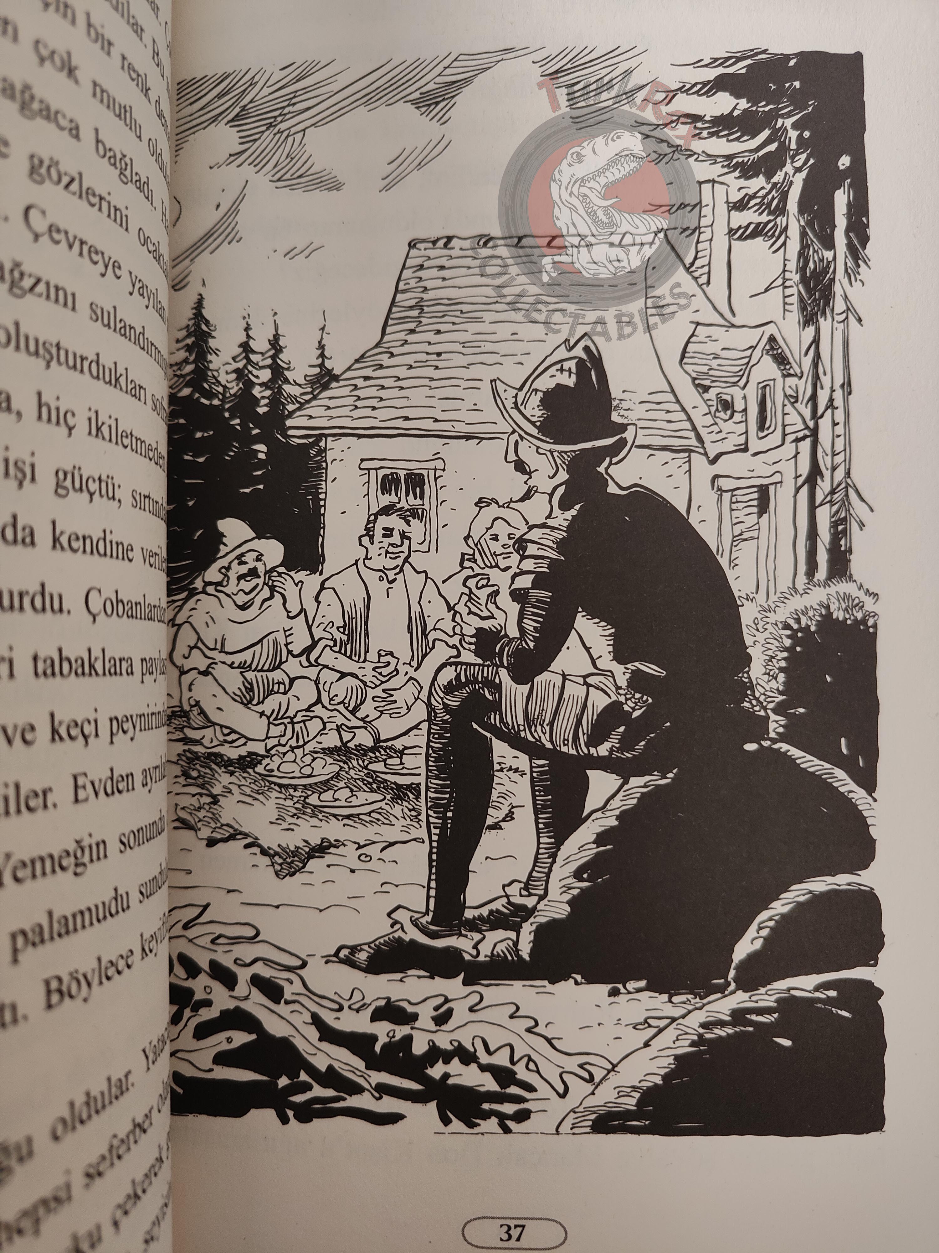 Miguel de Cervantes – Don Quixote 2007 Turkish Book Turkey Illustrated