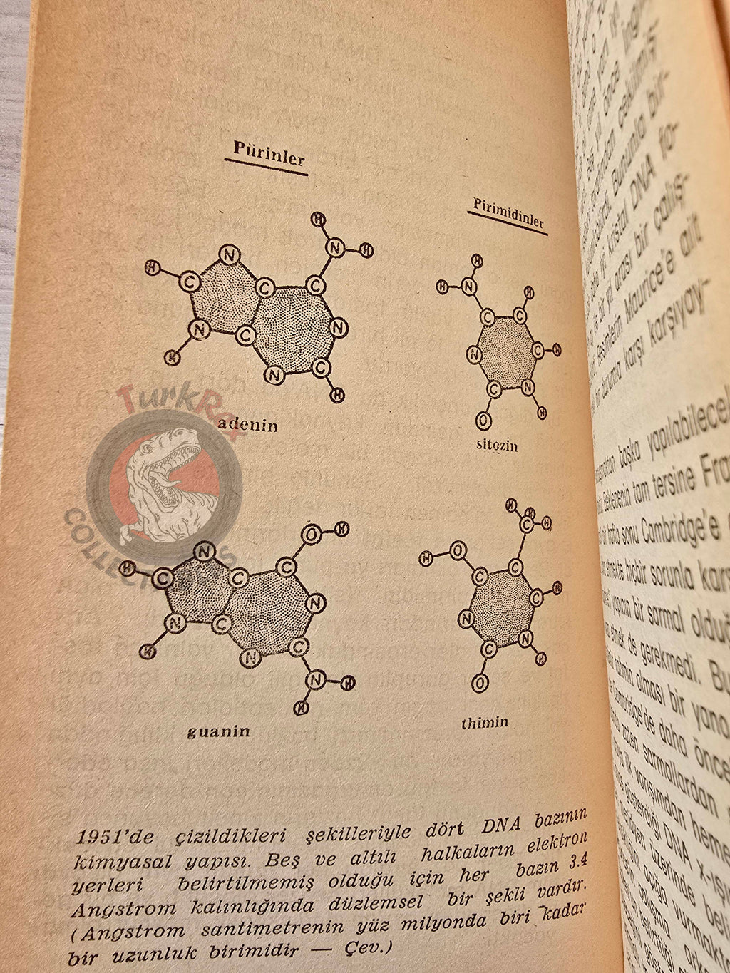 James D. Watson – The Double Helix 1982 1st Turkish Book Turkey