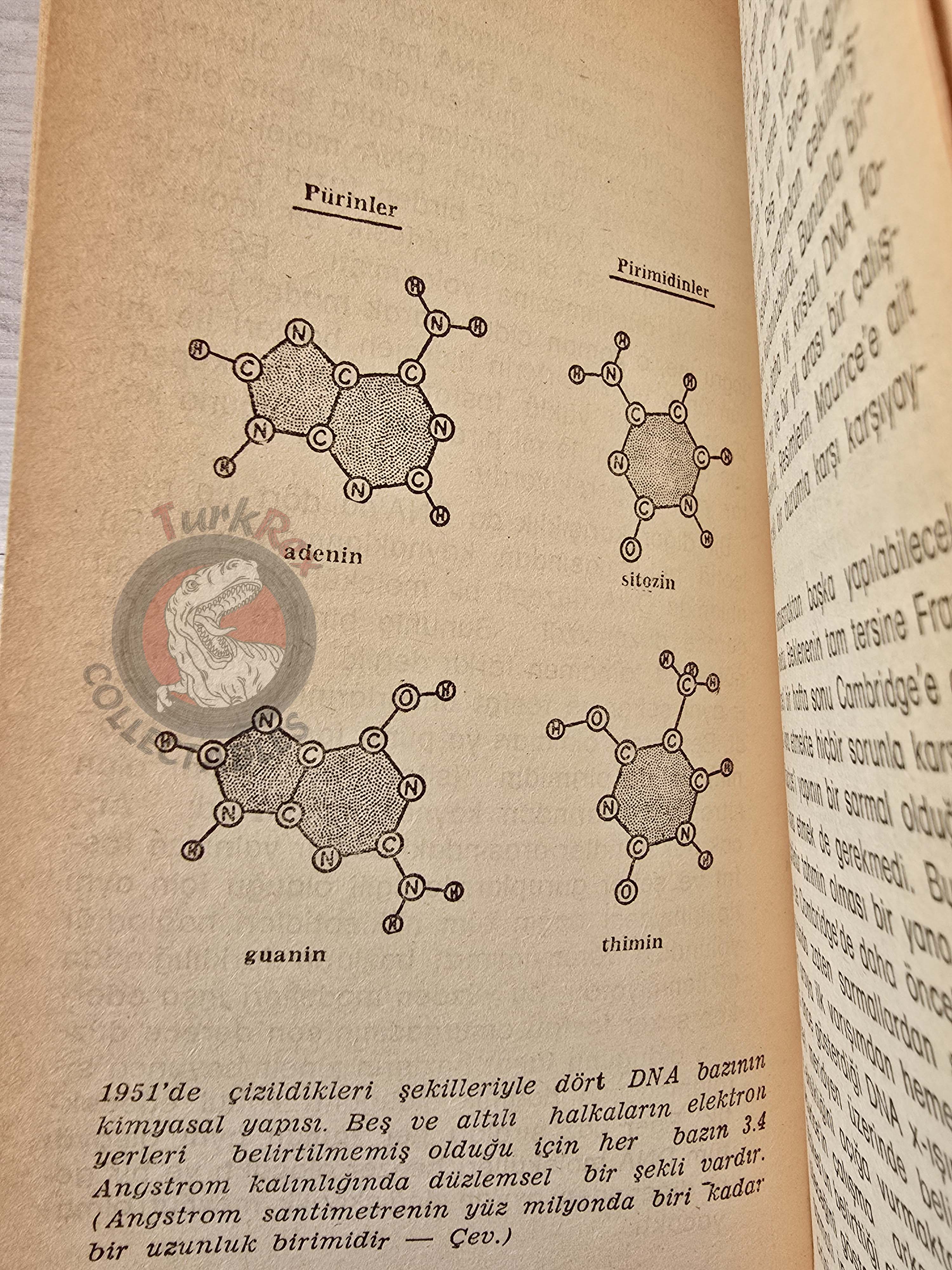 James D. Watson – The Double Helix 1982 1st Turkish Book Turkey