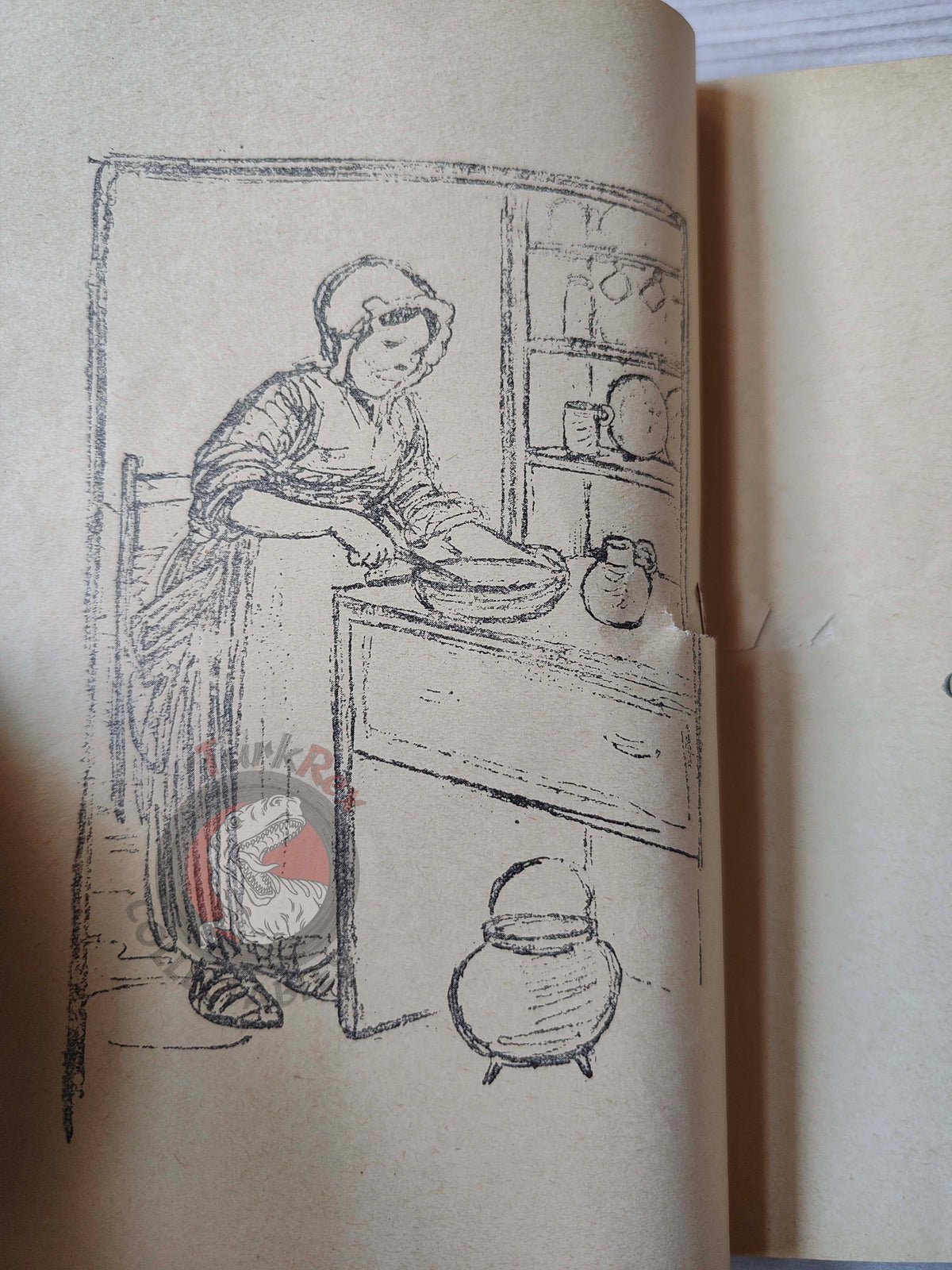 Lucy Fitch Perkins – The Irish Twins 1929 Turkish Book Turkey Illustrated