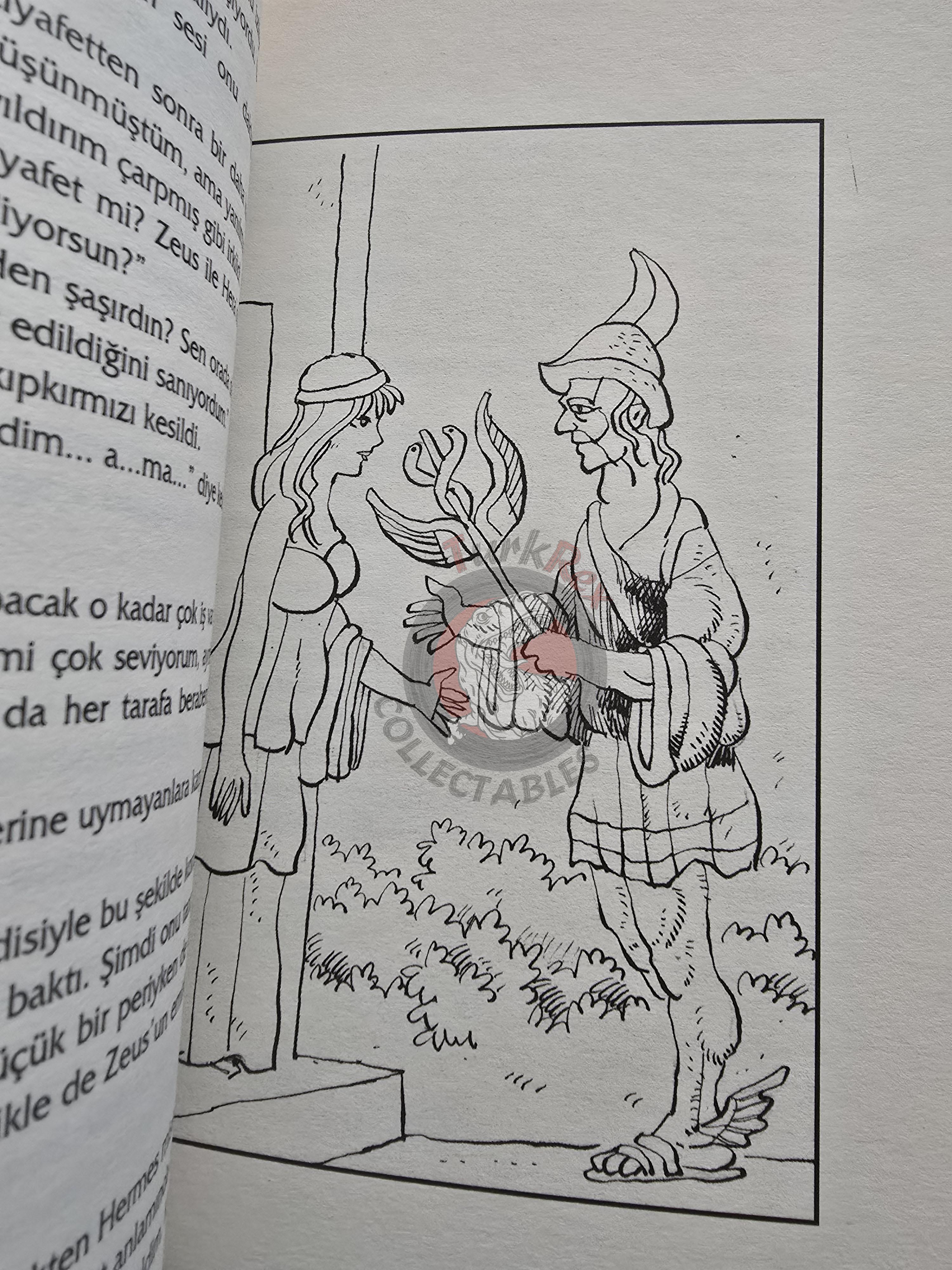 Hera – Robert Krugmann 2003 Turkish Book Turkey Illustrated by Turkish Artist