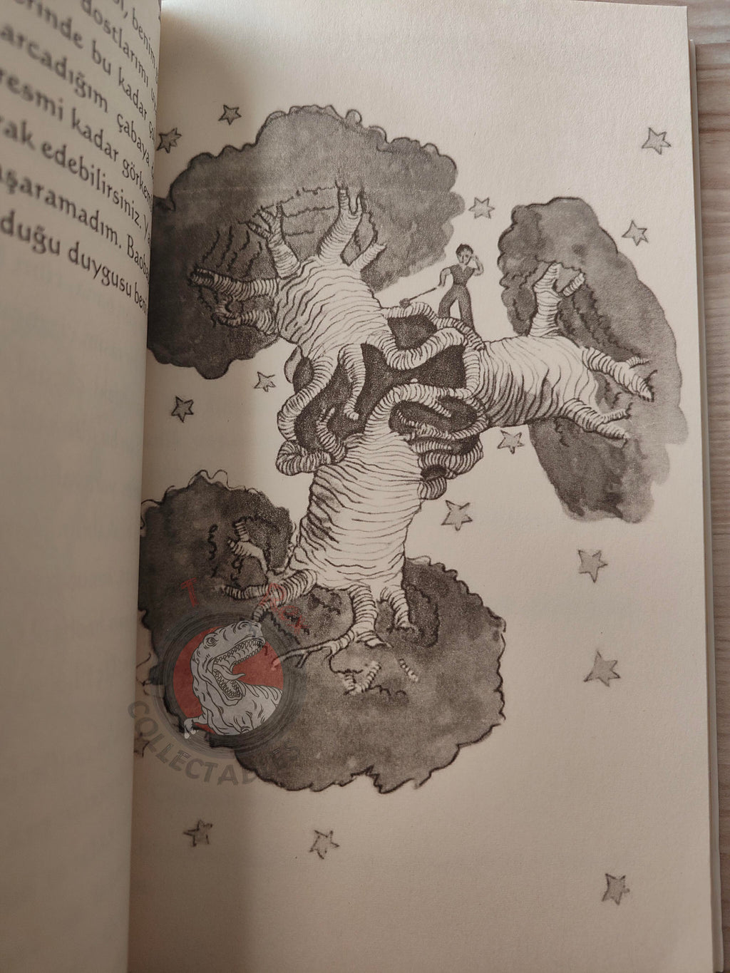 Antoine de Saint-Exupéry – Le Petit Prince 2015 Turkish Book Turkey Illustrated Little 8