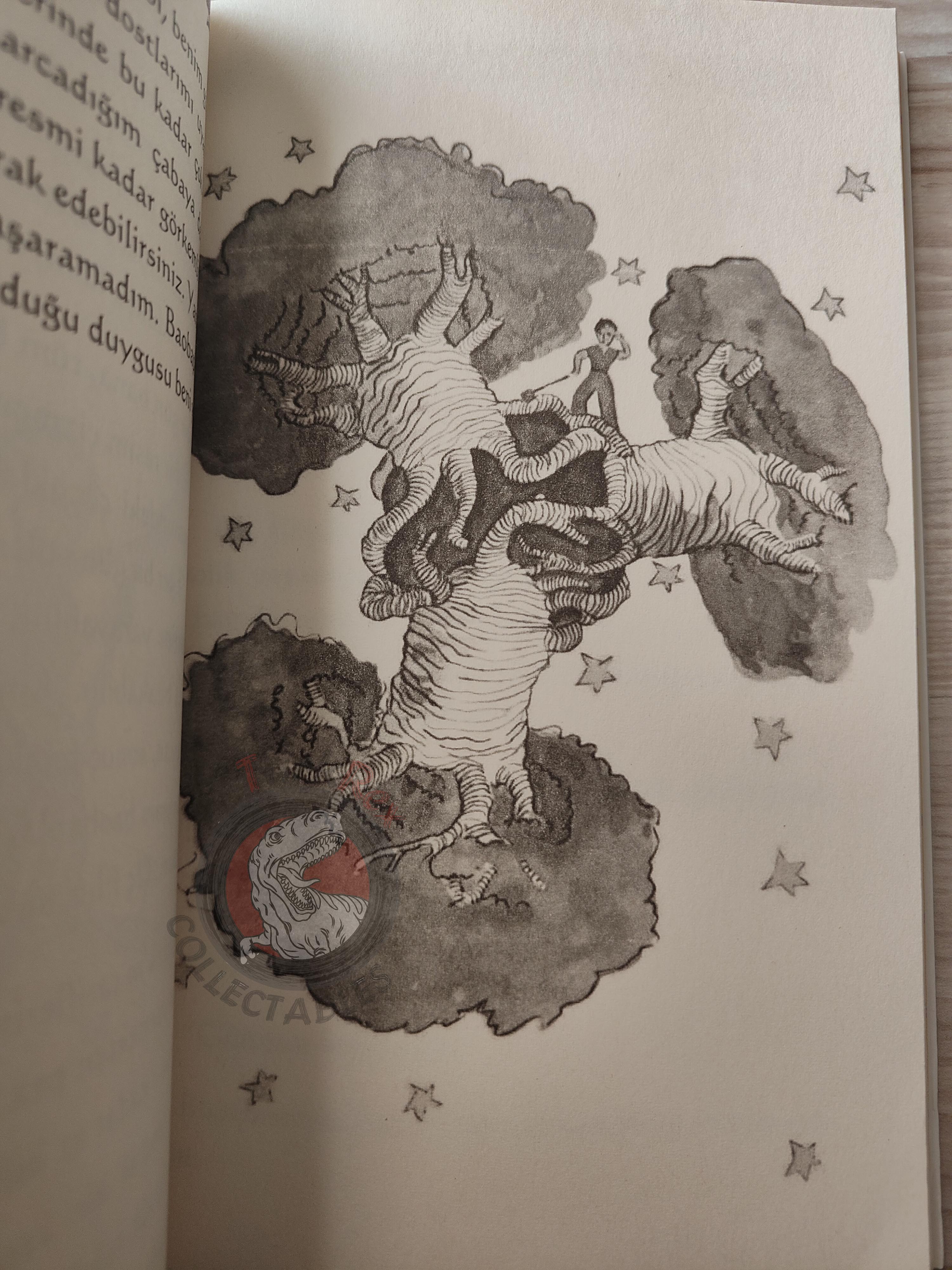 Antoine de Saint-Exupéry – Le Petit Prince 2015 Turkish Book Turkey Illustrated Little 8