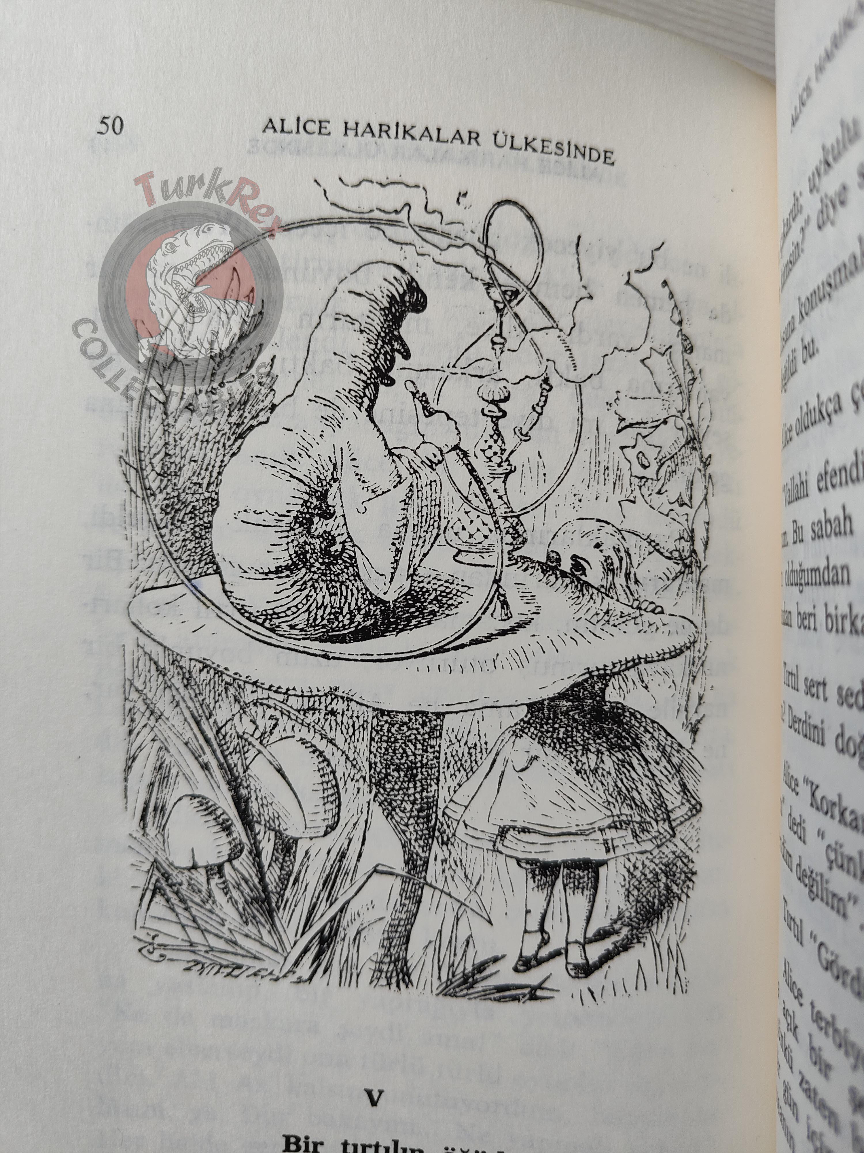 Lewis Carroll – Alice in Wonderland 1990 Turkish Book Turkey Illustrated John Tenniel