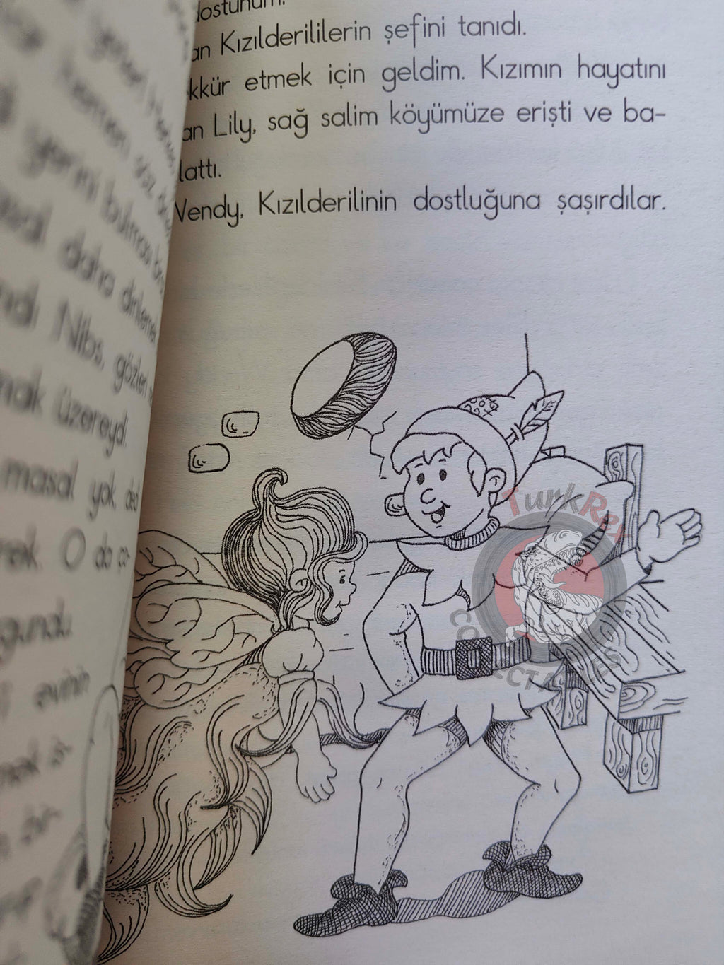 J. M. Barrie – Peter Pan 2009 Turkish Book Turkey Illustrated 4
