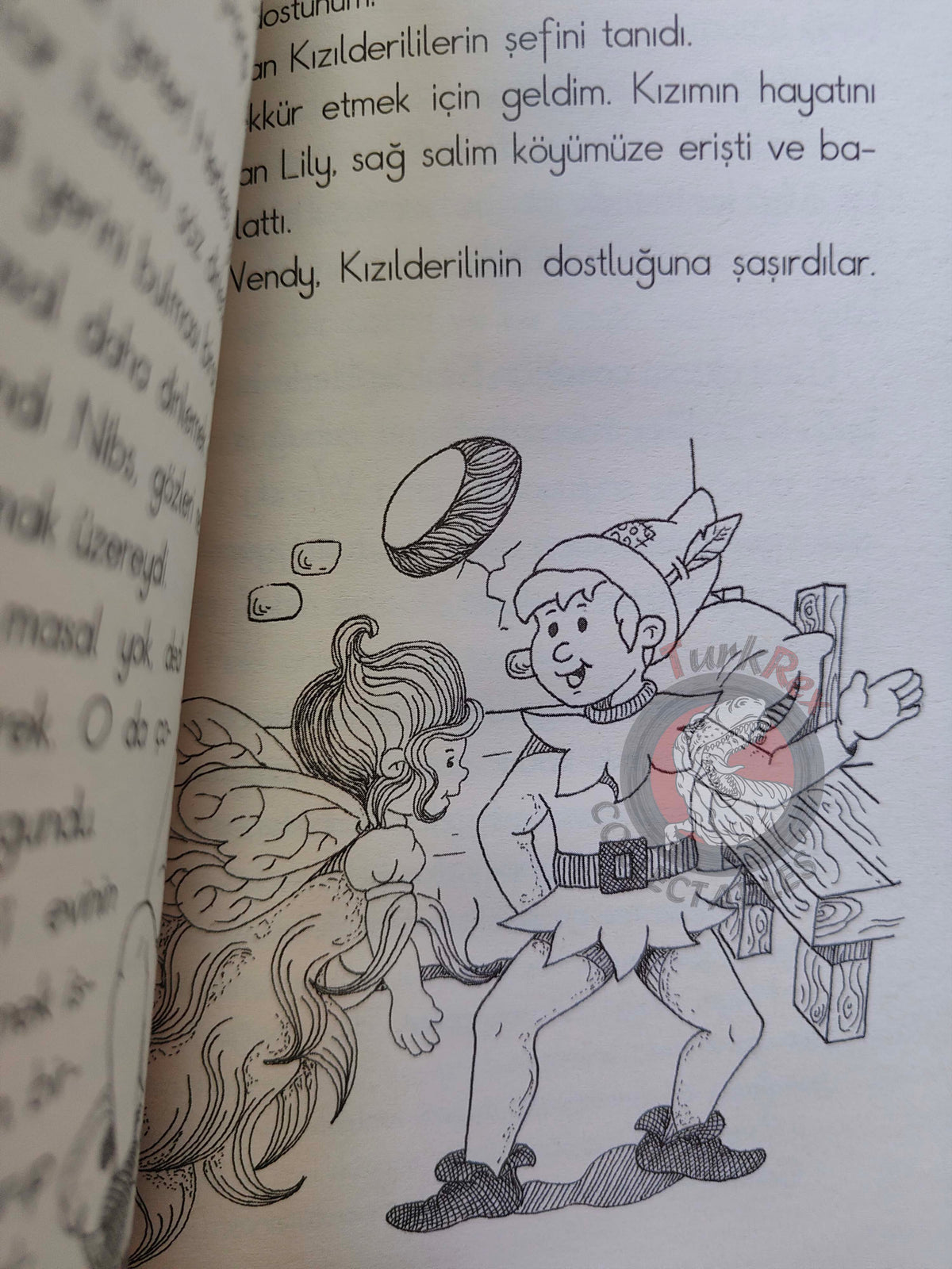 J. M. Barrie – Peter Pan 2009 Turkish Book Turkey Illustrated 4