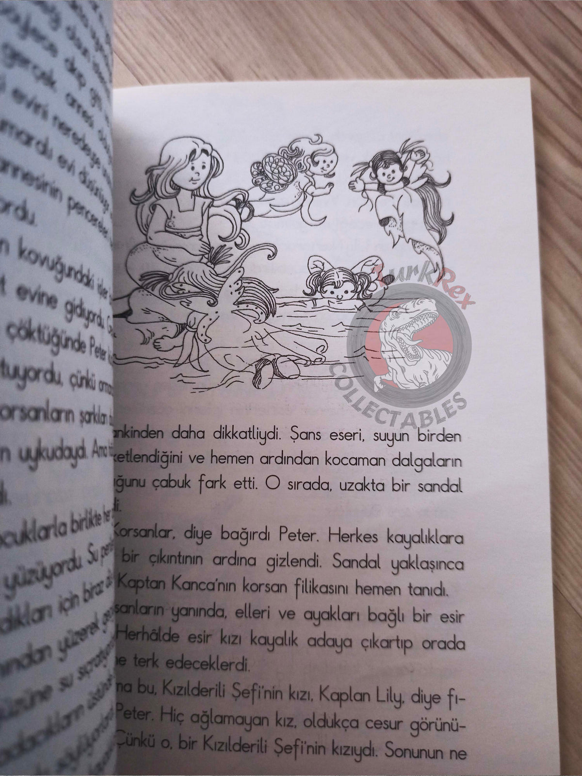 J. M. Barrie – Peter Pan 2010 Turkish Book Turkey Illustrated 1