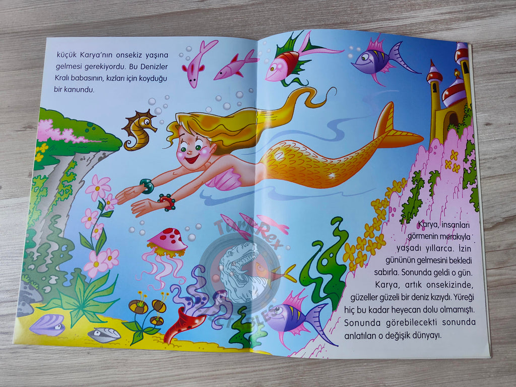 Hans Christian Andersen – The Little Mermaid 2003 Turkish Book Turkey Illustrated 1