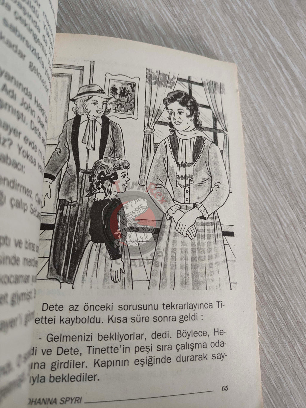 Johanna Spyri – Heidi 2006 Turkish Book Turkey Illustrated