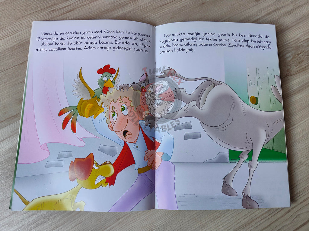 Grimm Brothers – Town Musicians of Bremen 2011 Turkish Book Turkey Illustrated 2