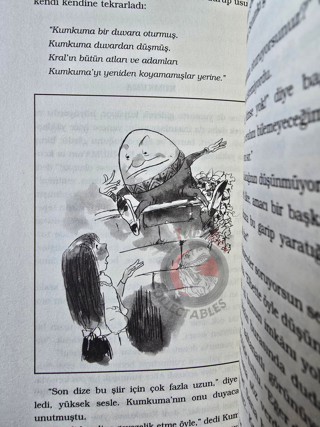 Lewis Carroll – Through the Looking-Glass 2012 Turkish Book Turkey Illustrated