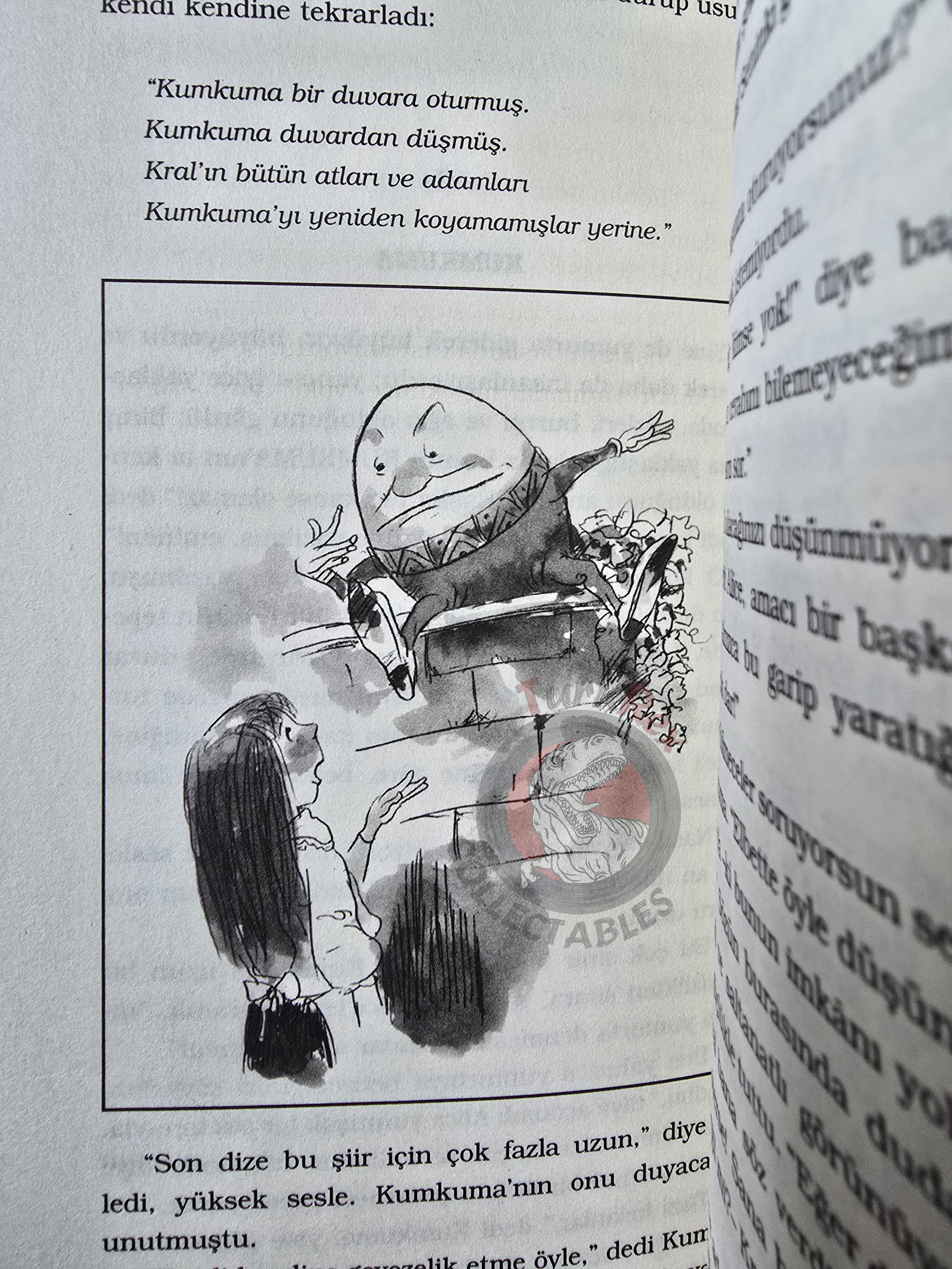 Lewis Carroll – Through the Looking-Glass 2012 Turkish Book Turkey Illustrated