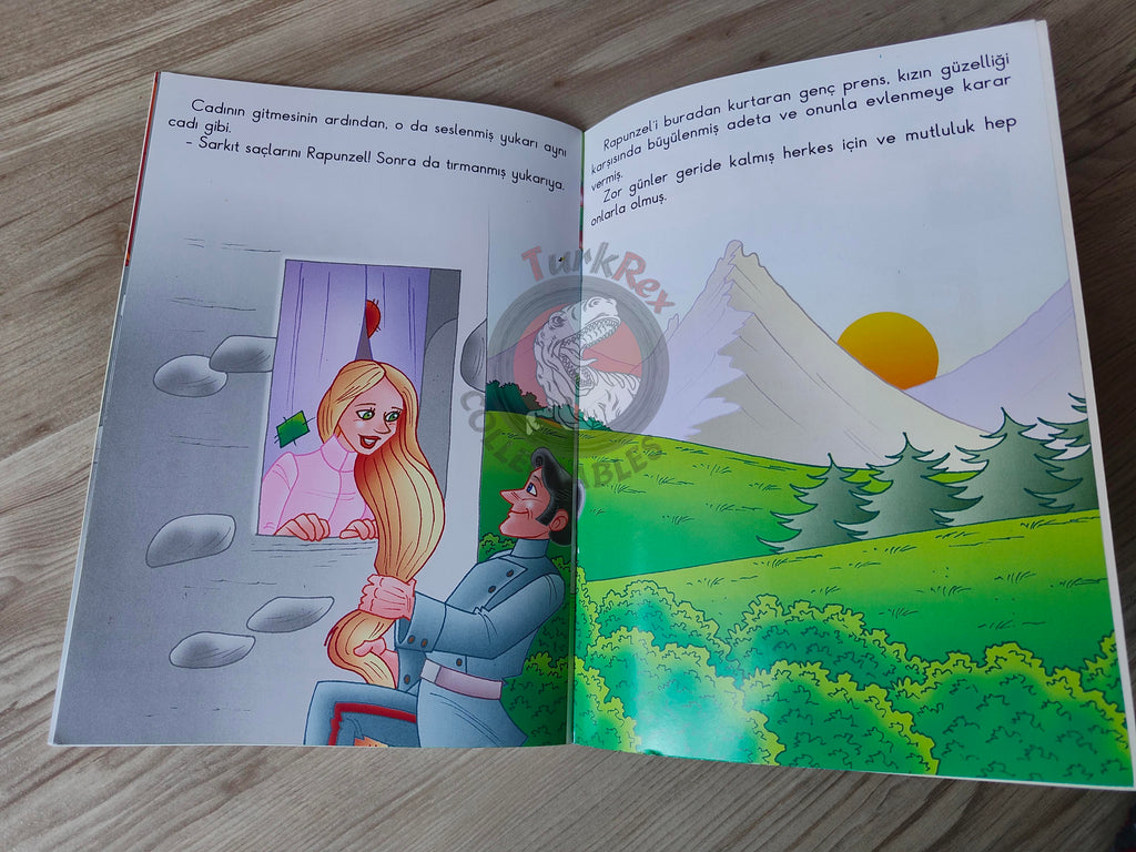 Grimm Brothers – Rapunzel 2011 Turkish Book Turkey Illustrated