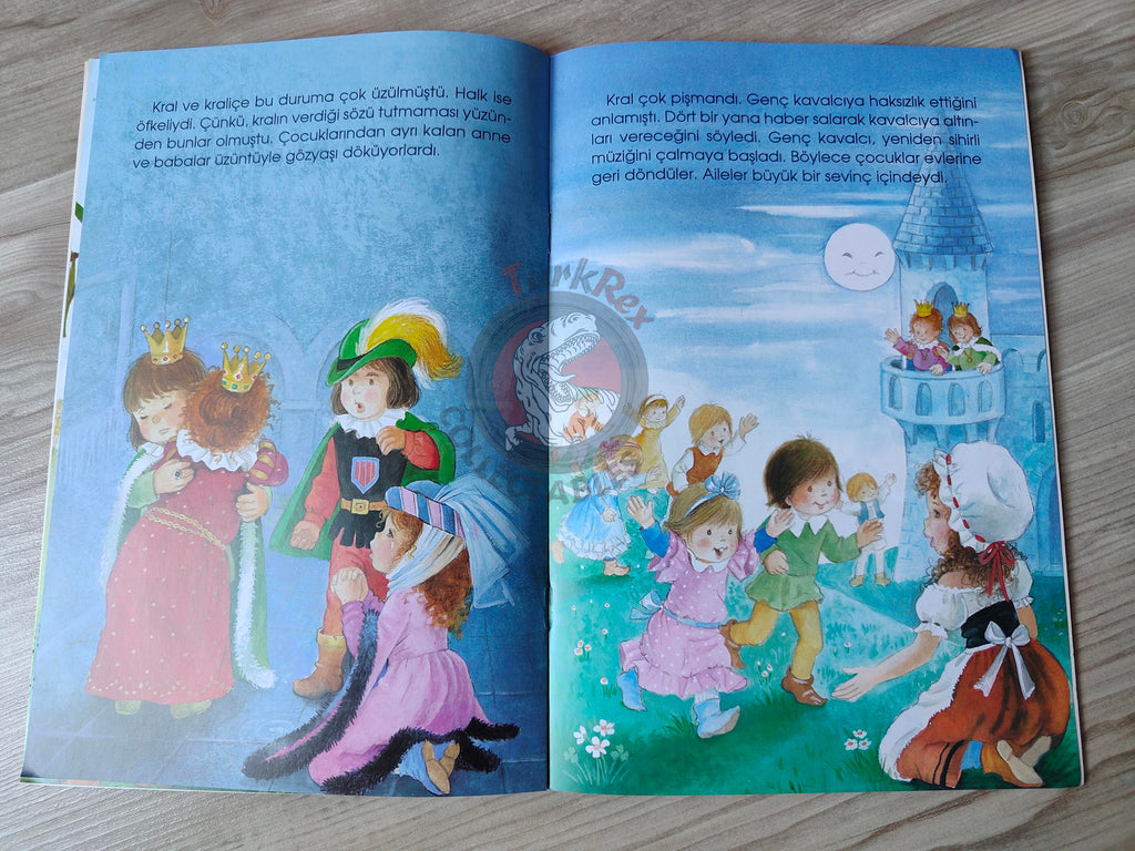 Grimm Brothers – Pied Piper of Hamelin 2000s Turkish Book Turkey Illustrated