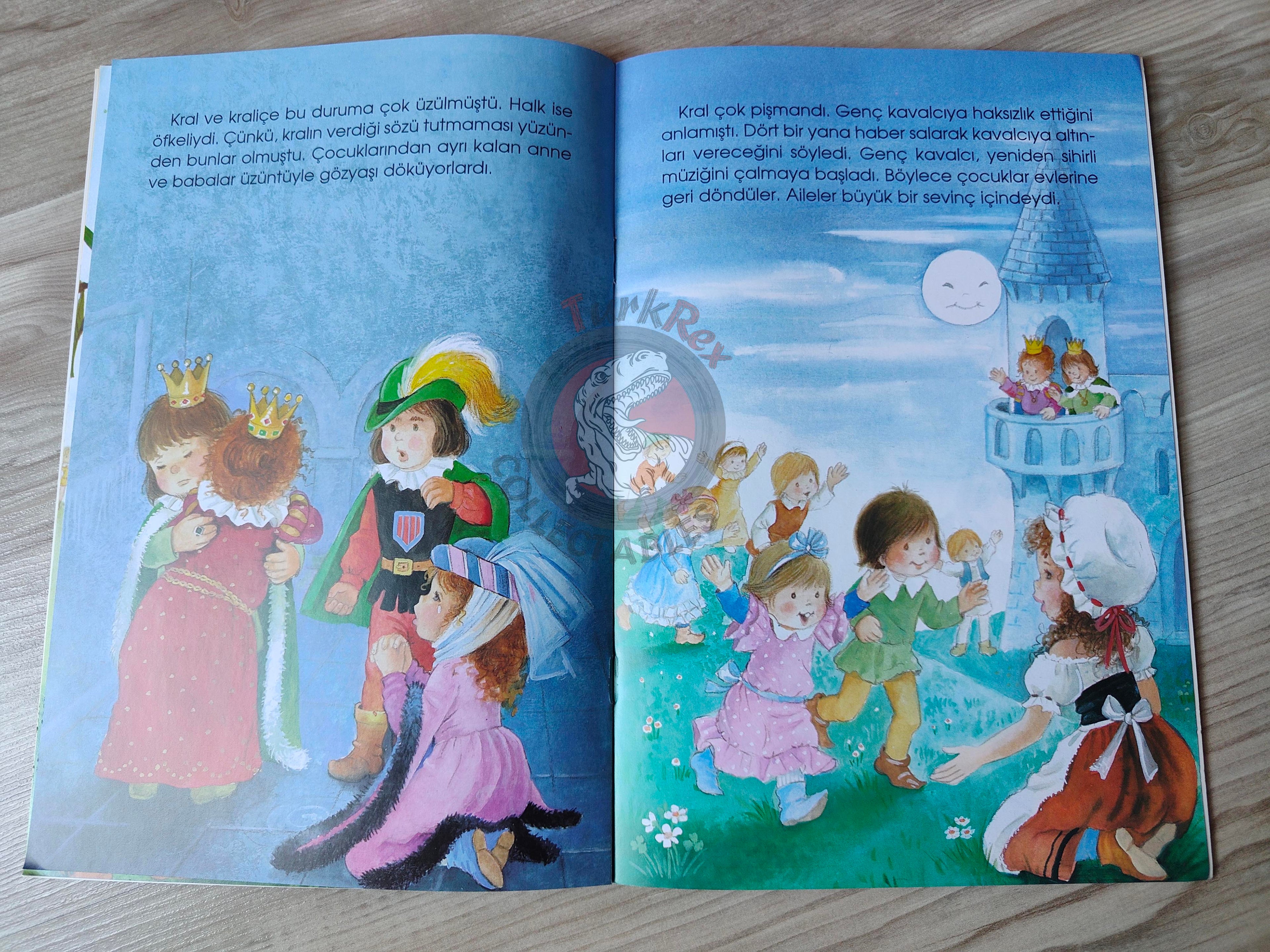 Grimm Brothers – Pied Piper of Hamelin 2000s Turkish Book Turkey Illustrated