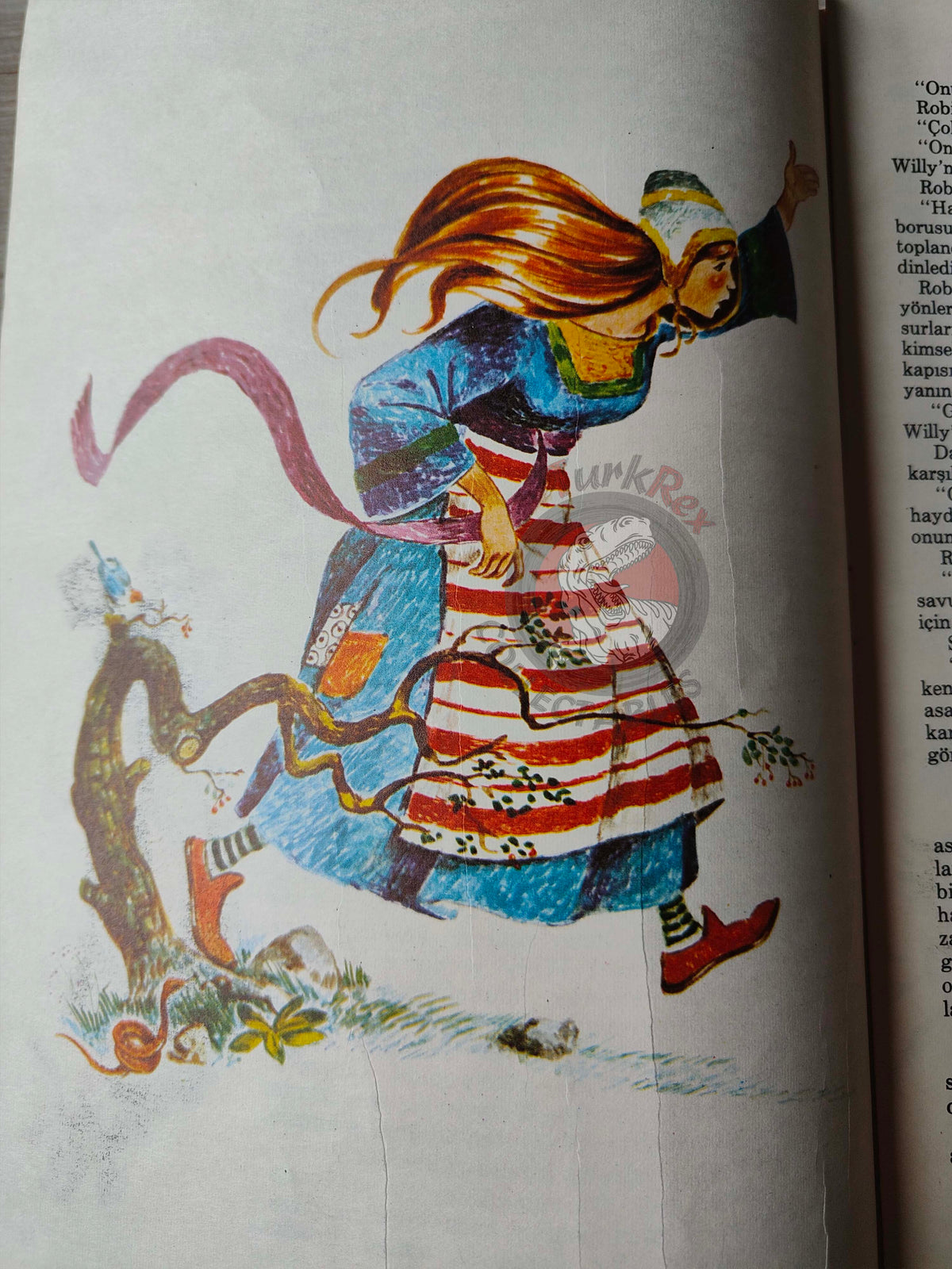 Robin Hood – Howard Pyle 1983 Turkish Book Turkey Illustrated