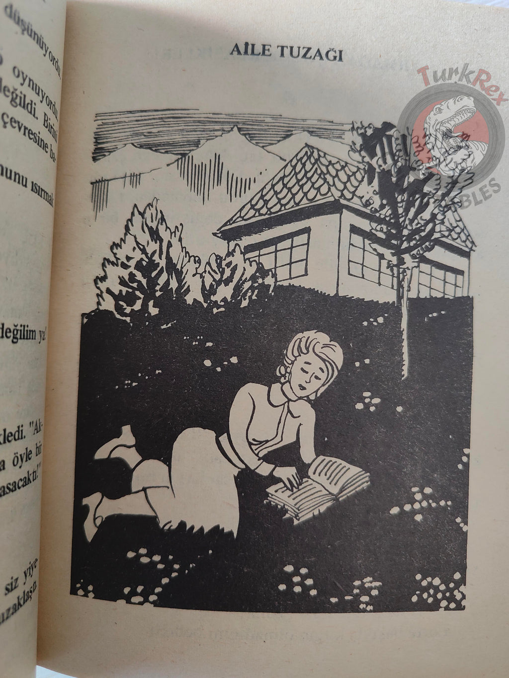 Erich Kästner – The Parent Trap 1976 HC/DJ Turkish Book Turkey Illustrated