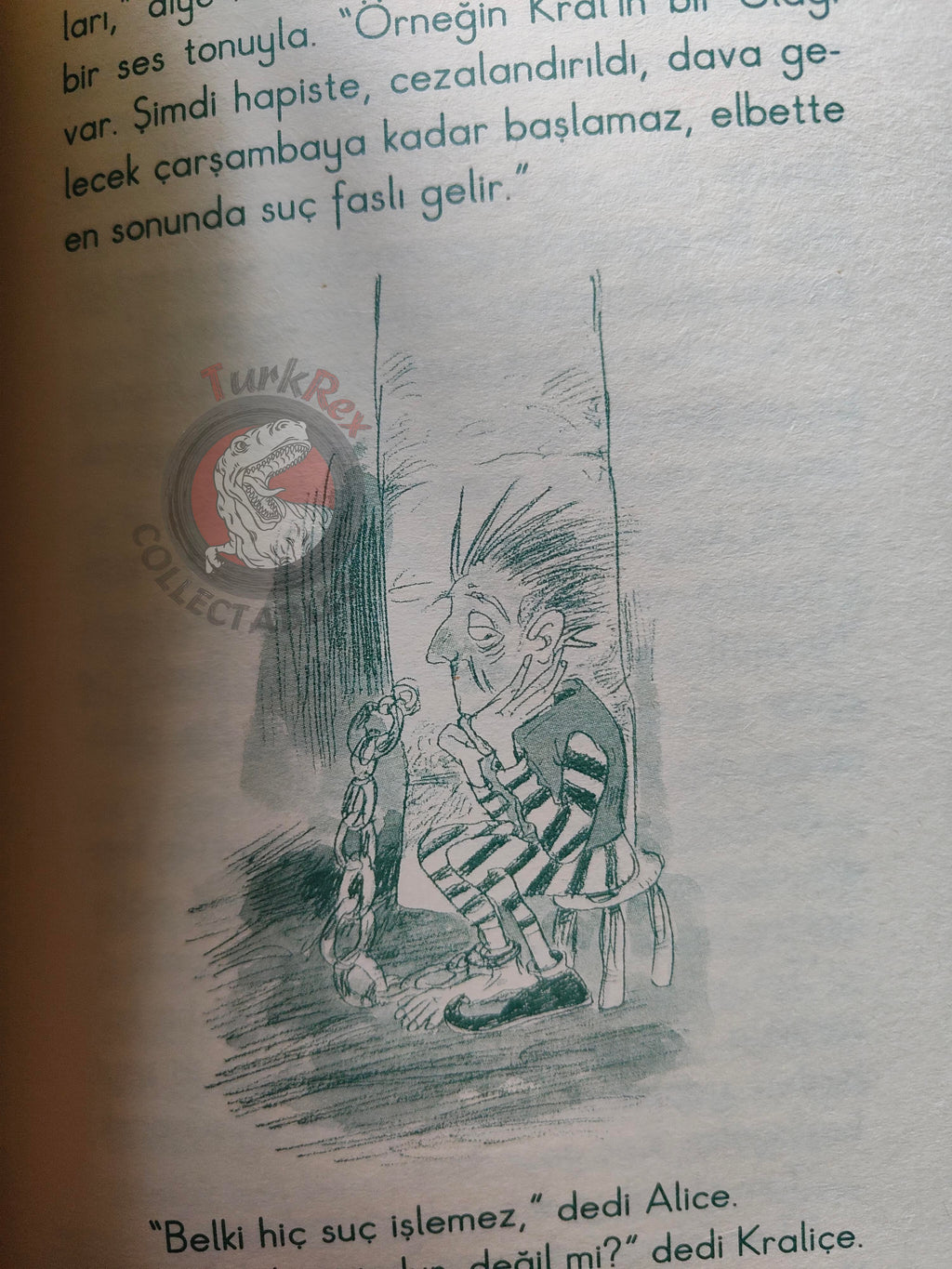 Lewis Carroll – Through the Looking-Glass 2006 Turkish Book Turkey Illustrated