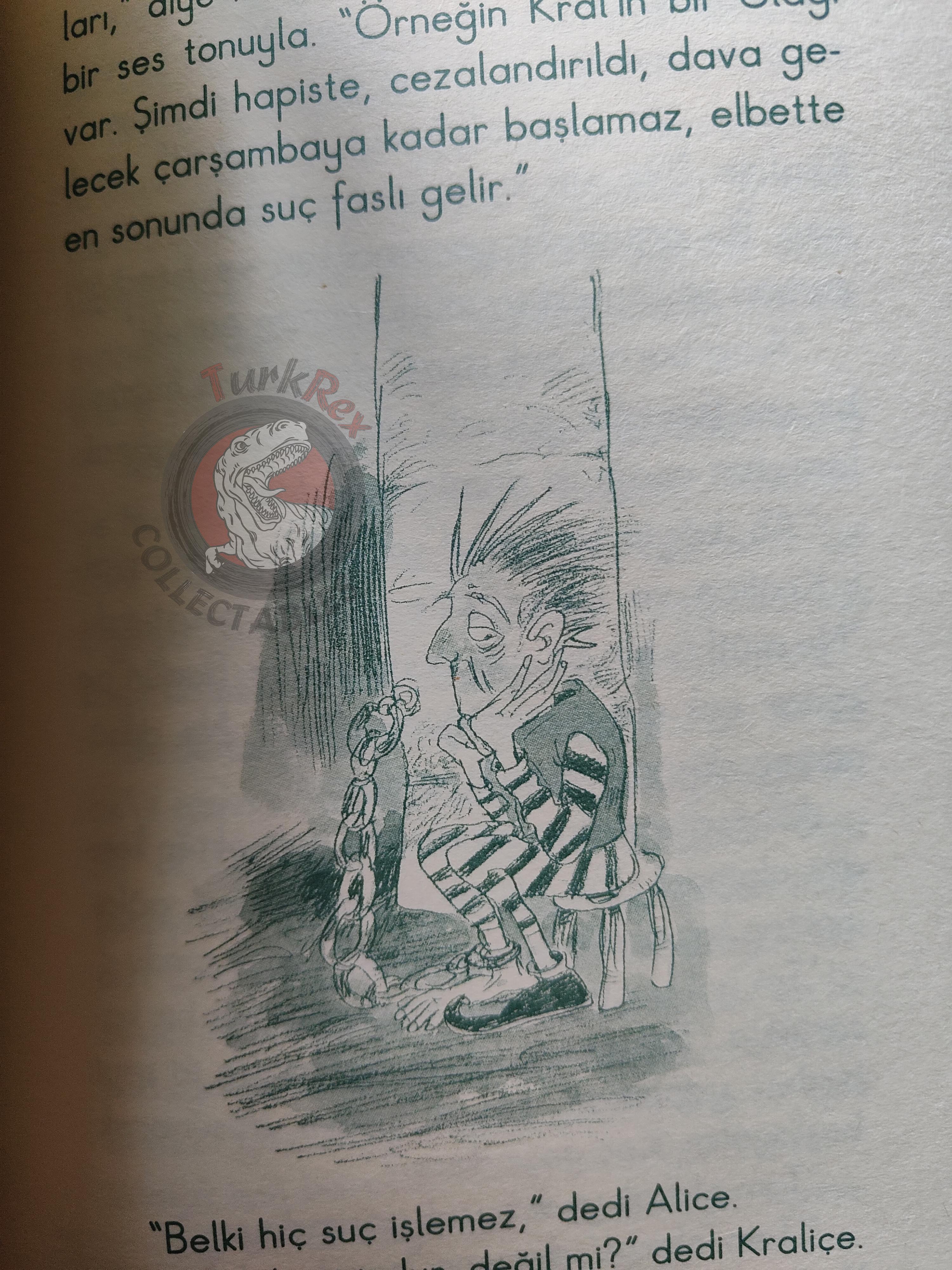 Lewis Carroll – Through the Looking-Glass 2006 Turkish Book Turkey Illustrated