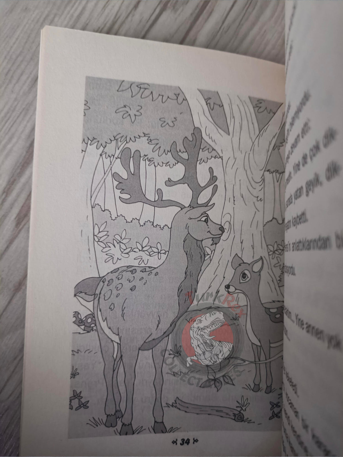Felix Salten – Bambi 2004 Turkish Book Turkey Illustrated 2