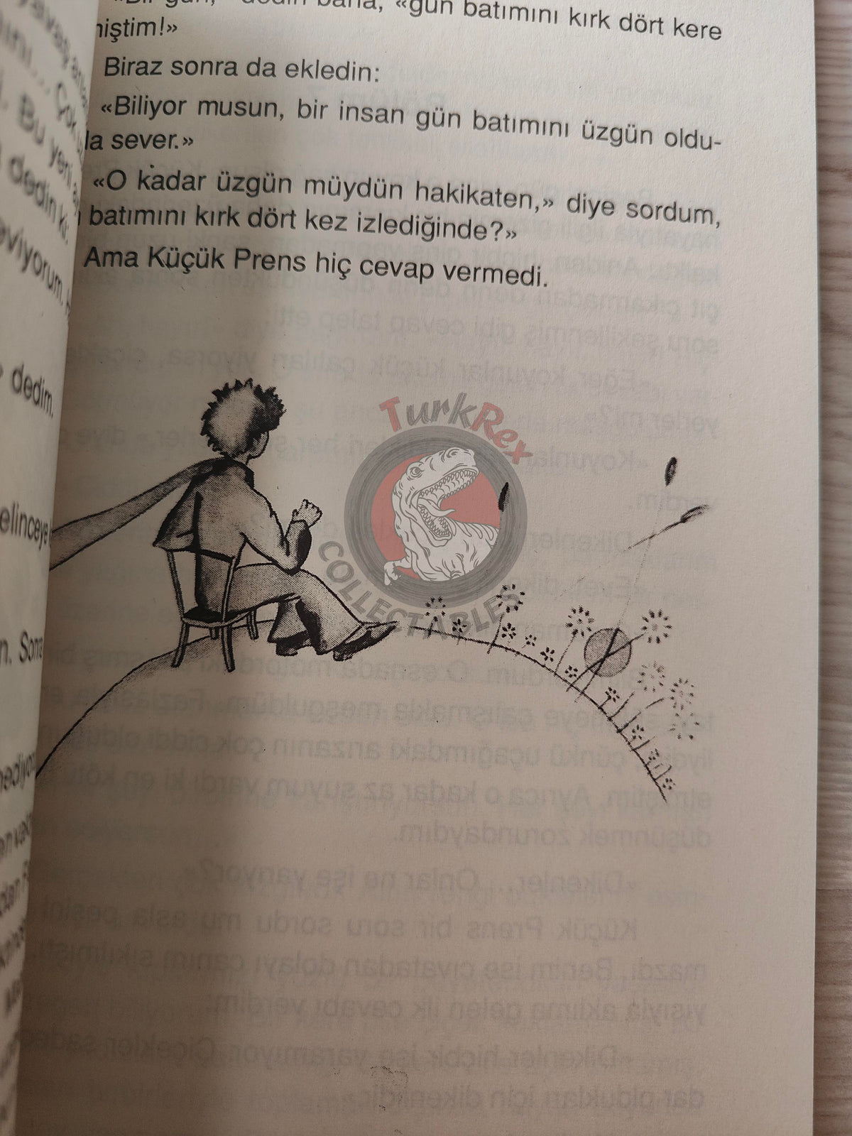 Antoine de Saint-Exupéry – Le Petit Prince 2014 Turkish Book Turkey Illustrated Little