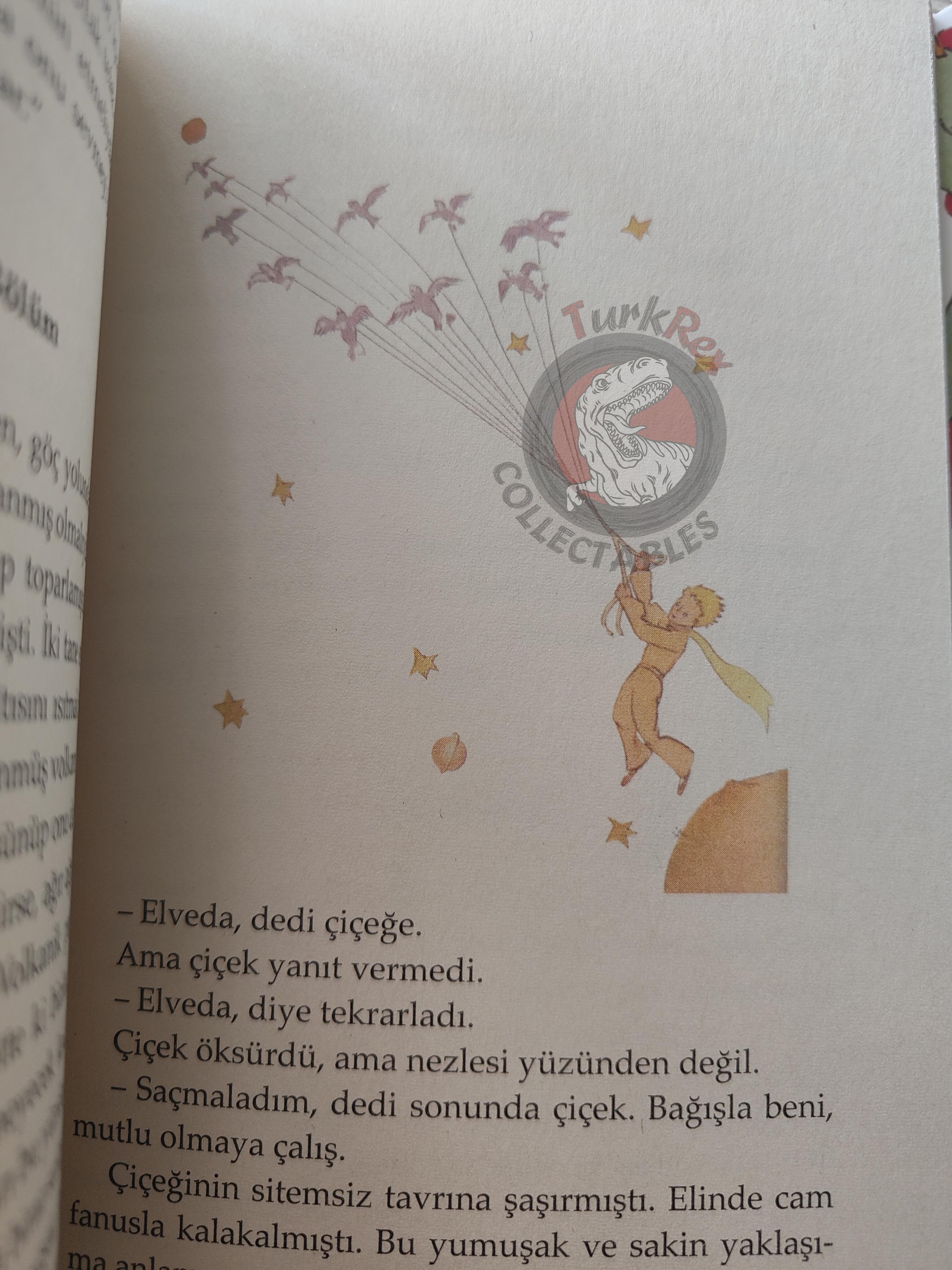 Antoine de Saint-Exupéry – Le Petit Prince 2015 Turkish Book Turkey Illustrated Little 1