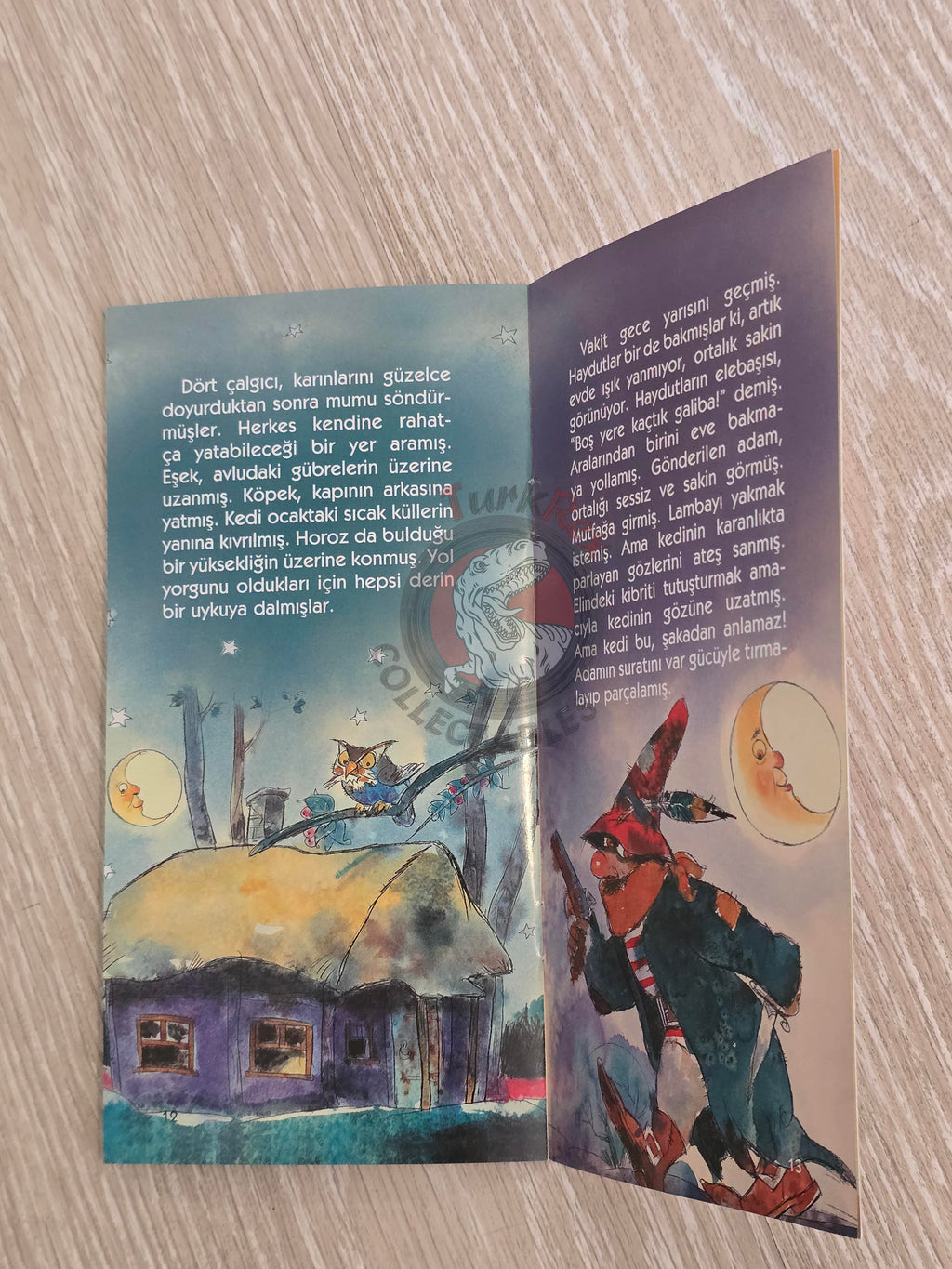 Grimm Brothers – Town Musicians of Bremen 2011 Turkish Book Turkey Illustrated 1