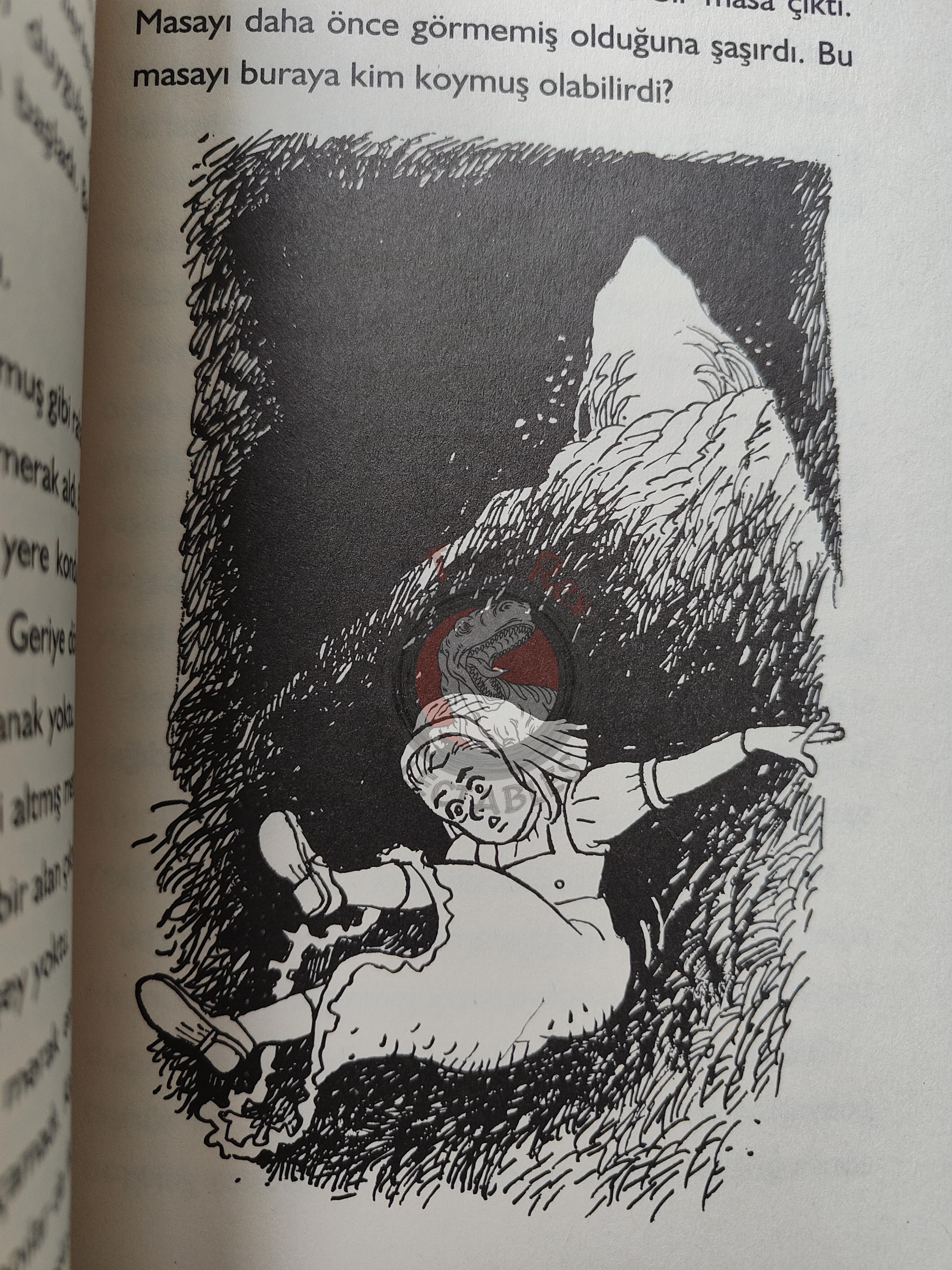 Lewis Carroll – Alice in Wonderland 2013 Turkish Book Turkey Illustrated