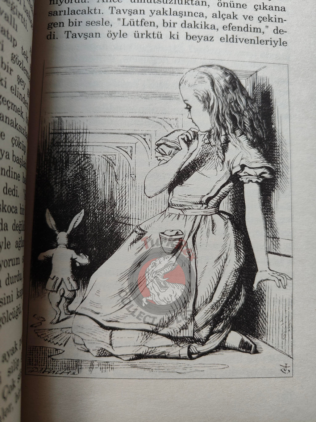Lewis Carroll – Alice in Wonderland 2008 Turkish Book Turkey Illustrated John Tenniel