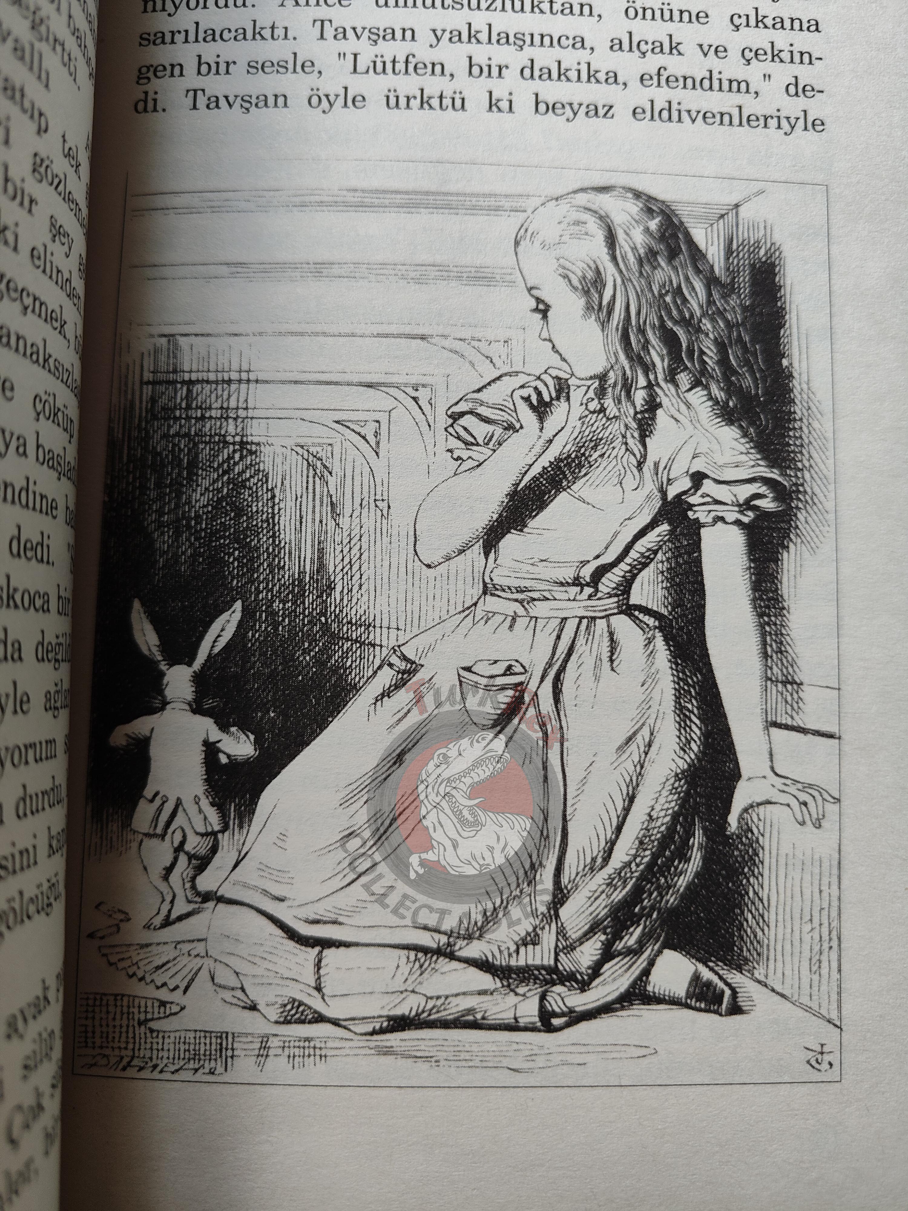 Lewis Carroll – Alice in Wonderland 2008 Turkish Book Turkey Illustrated John Tenniel