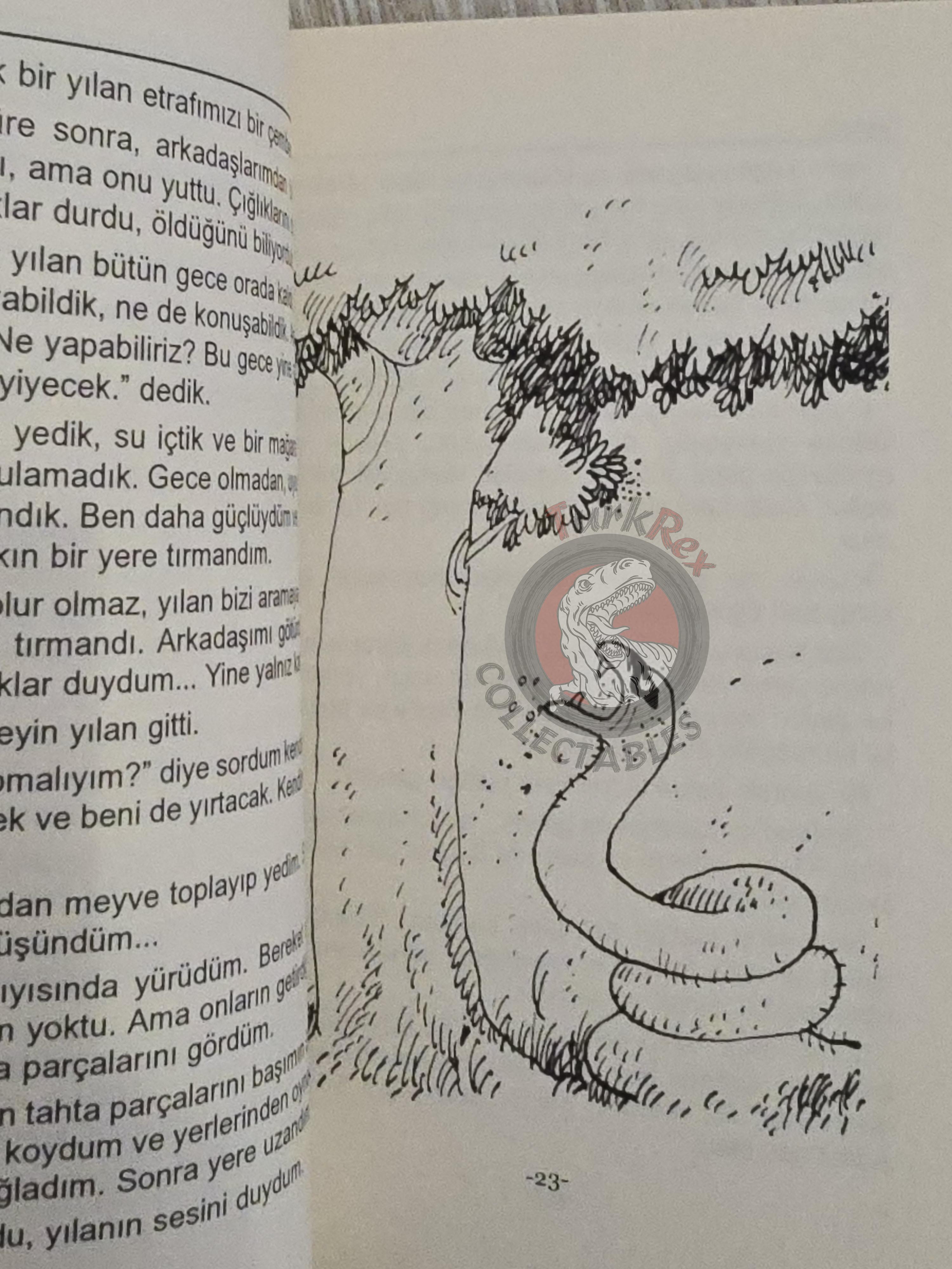 Sinbad the Sailor 2011 Turkish Book Turkey 1001 Nights Illustrated