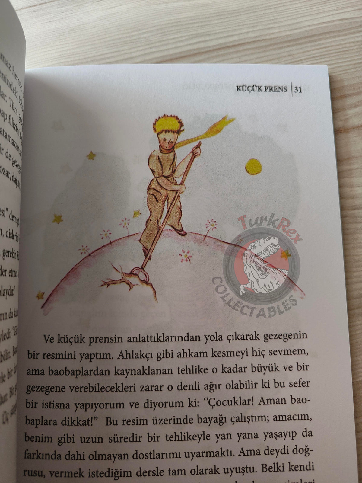 Antoine de Saint-Exupéry – Le Petit Prince 2015 Turkish Book Turkey Illustrated Little 4
