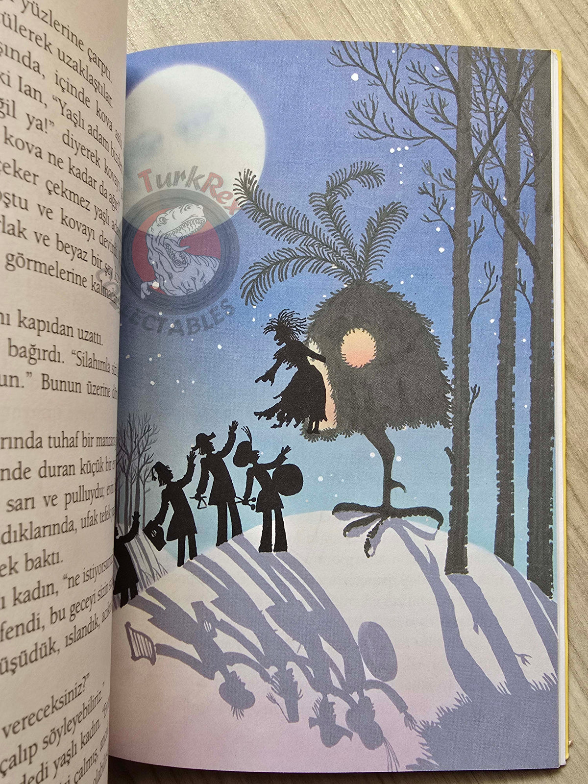 Joan Aiken – A Necklace of Raindrops 2011 1st Turkish Book Turkey Illustrated