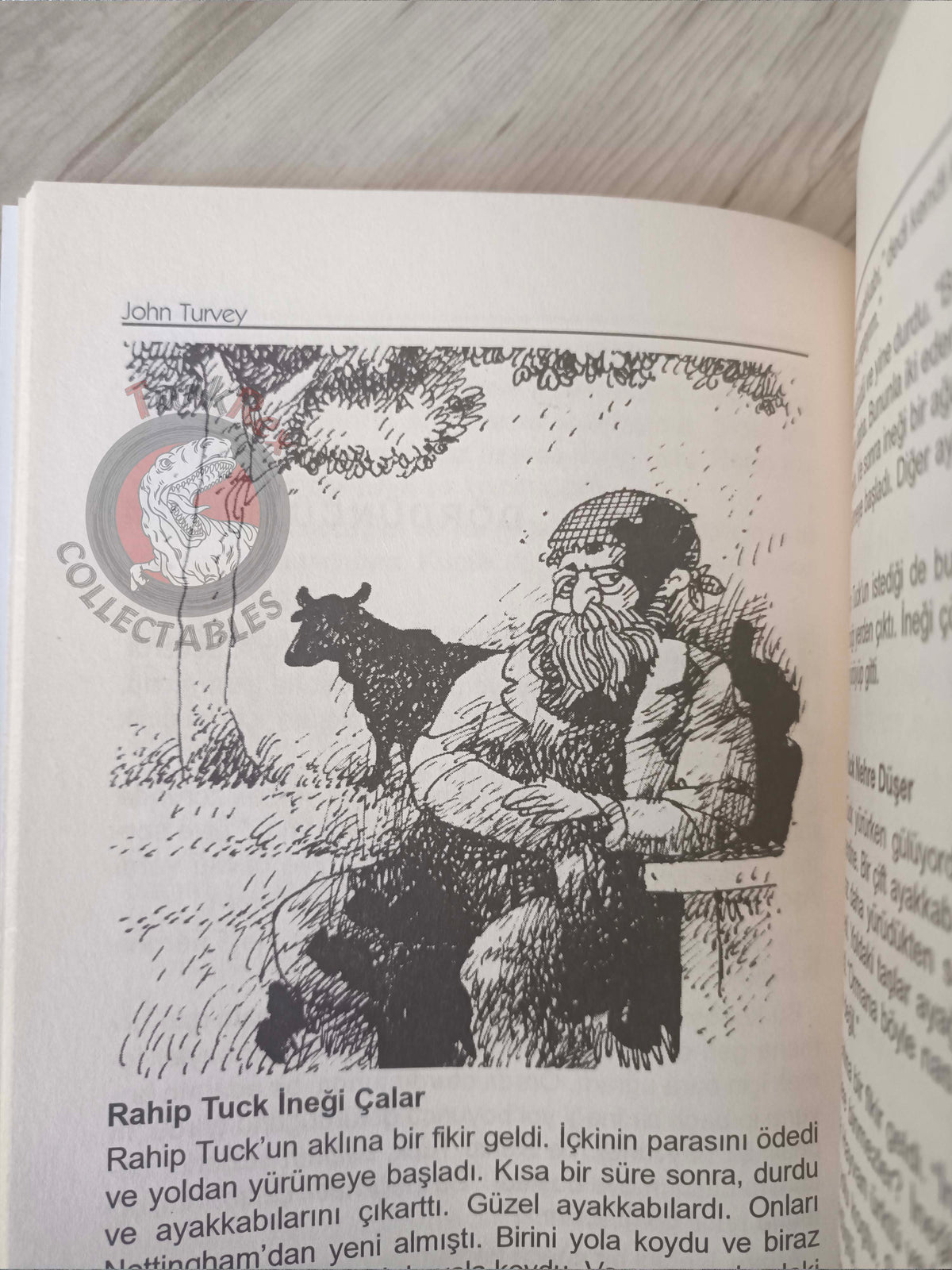 Robin Hood – John Turvey 2011 Turkish Book Turkey Illustrated