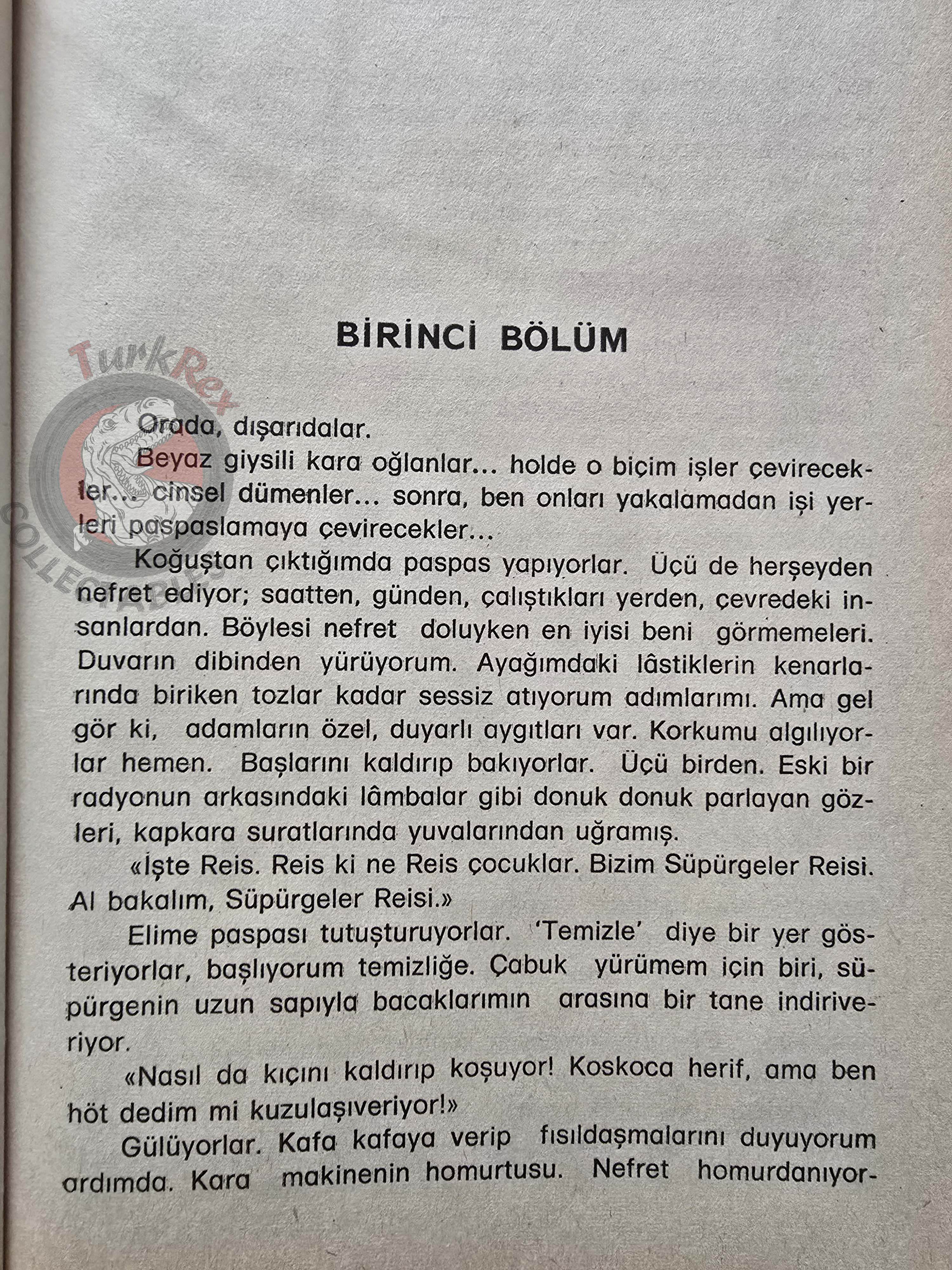 Ken Kesey – One Flew Over the Cuckoo’s Nest 1977 HC/DJ 1st Turkish Book Turkey
