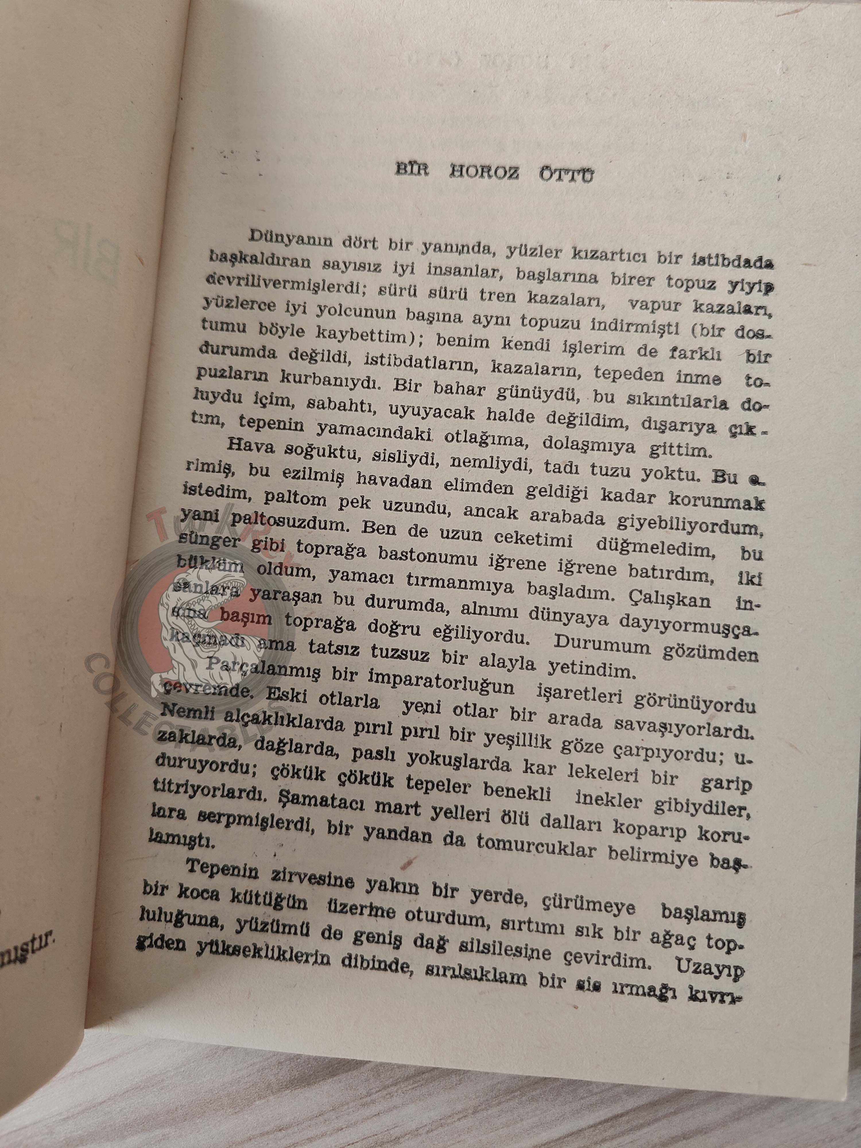 Herman Melville – Cock-A-Doodle-Doo! 1955 1st Turkish Book Turkey